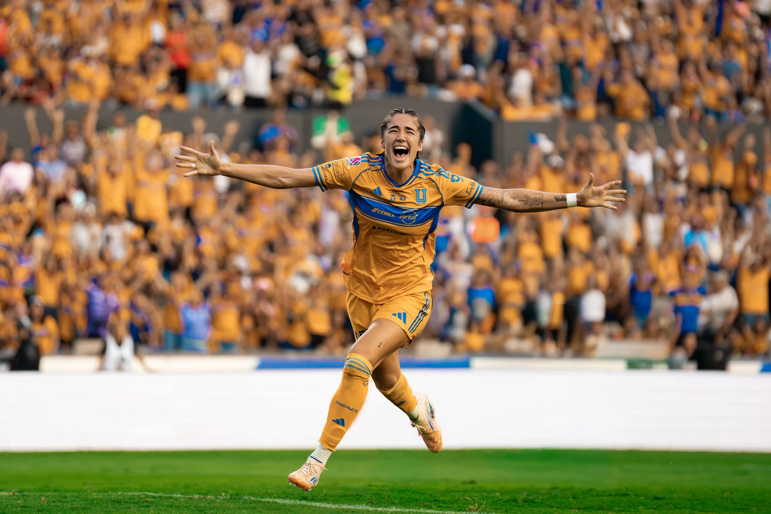Tigres_6.jpg