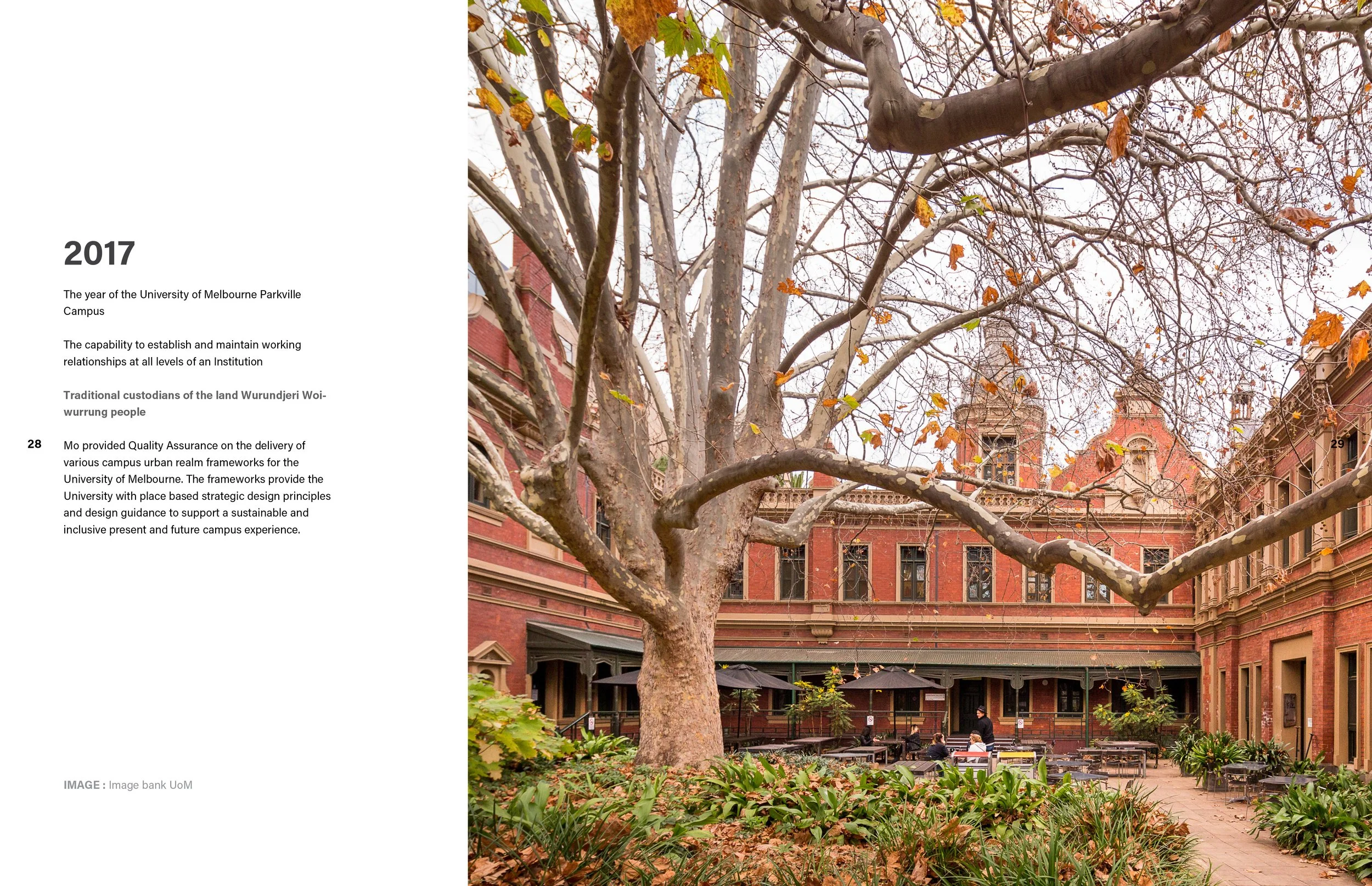 Brochure for website15.jpg