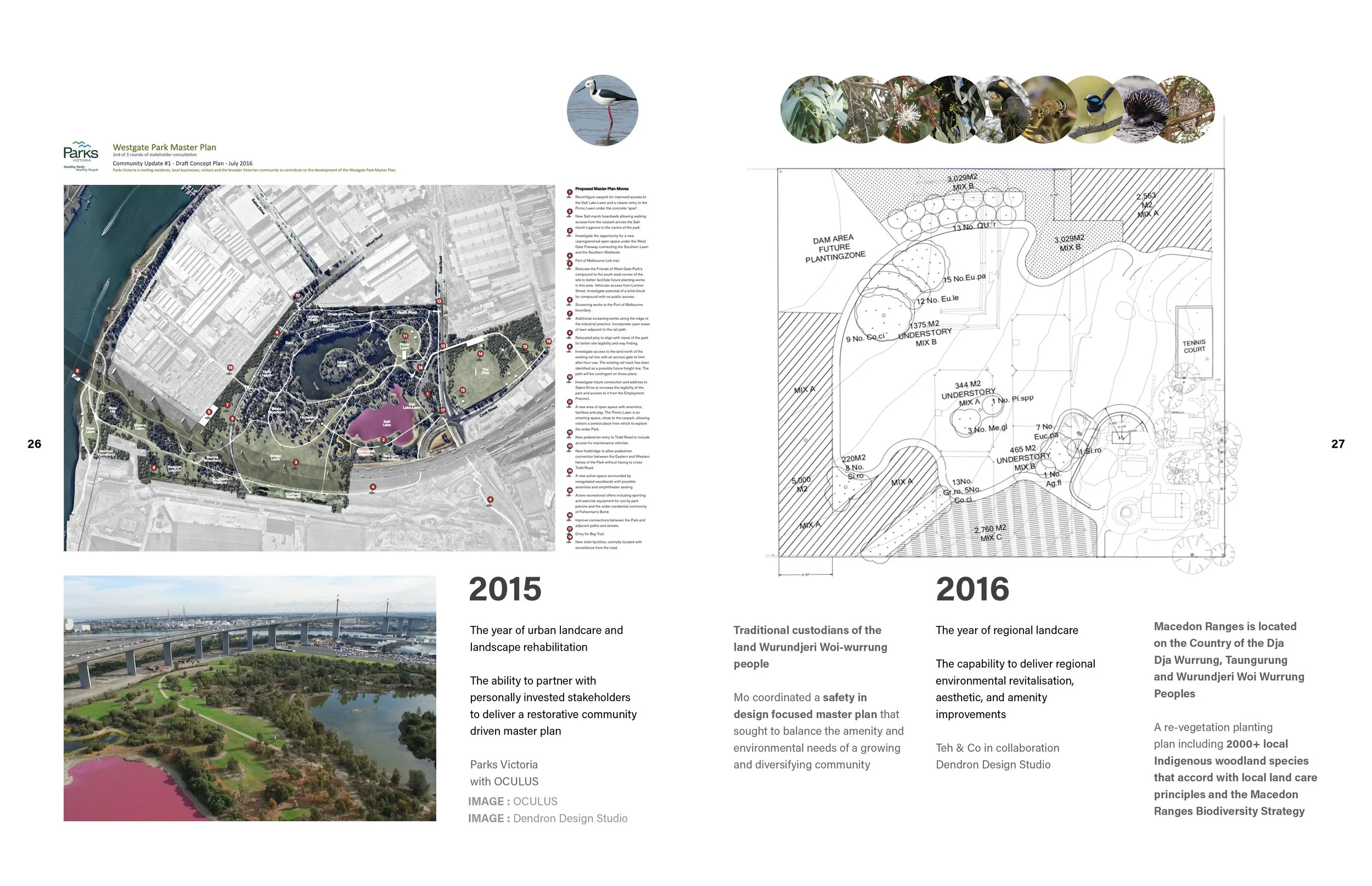 Brochure for website14.jpg