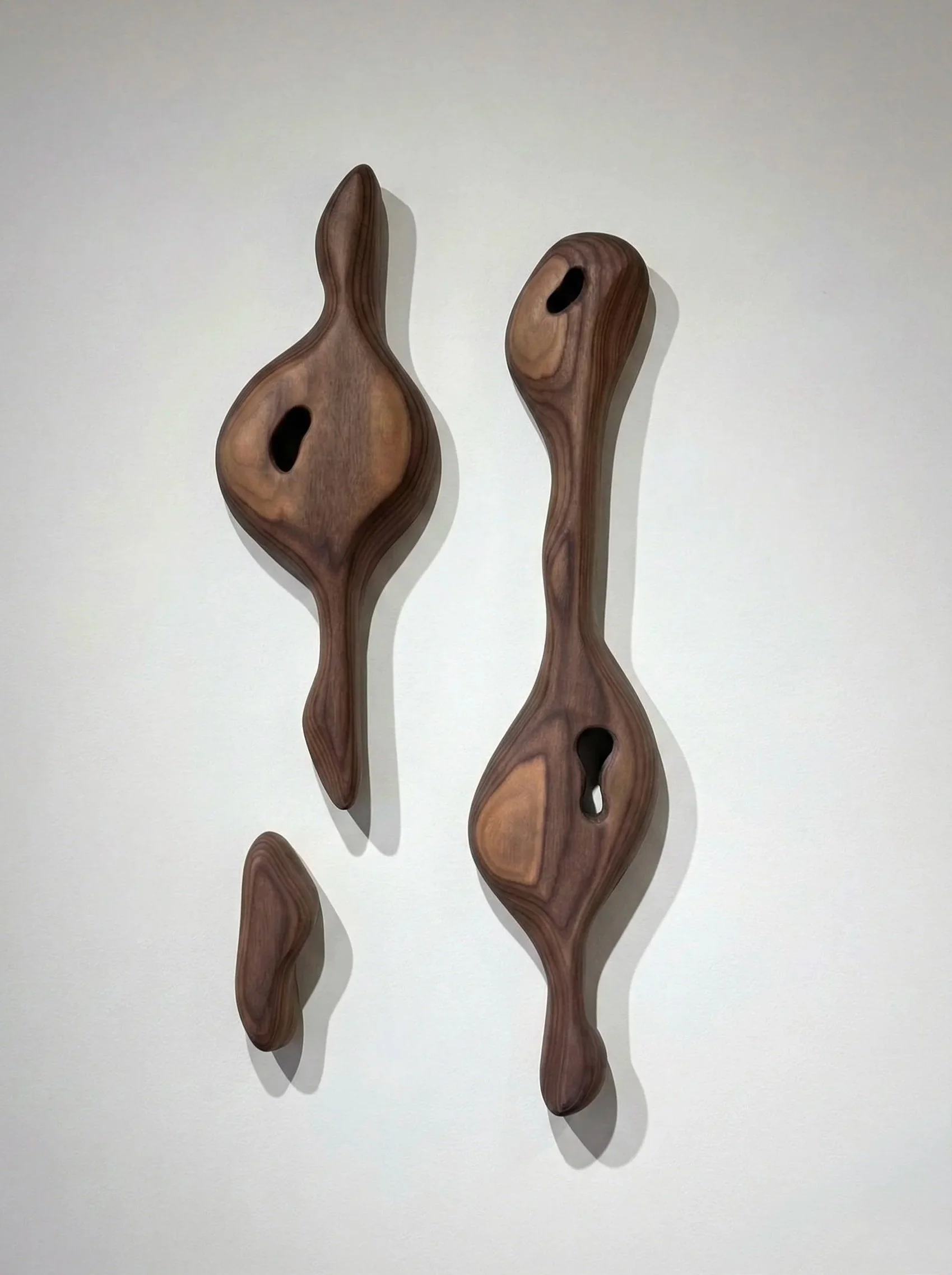 CORTEX no 8 - Walnut & Oil