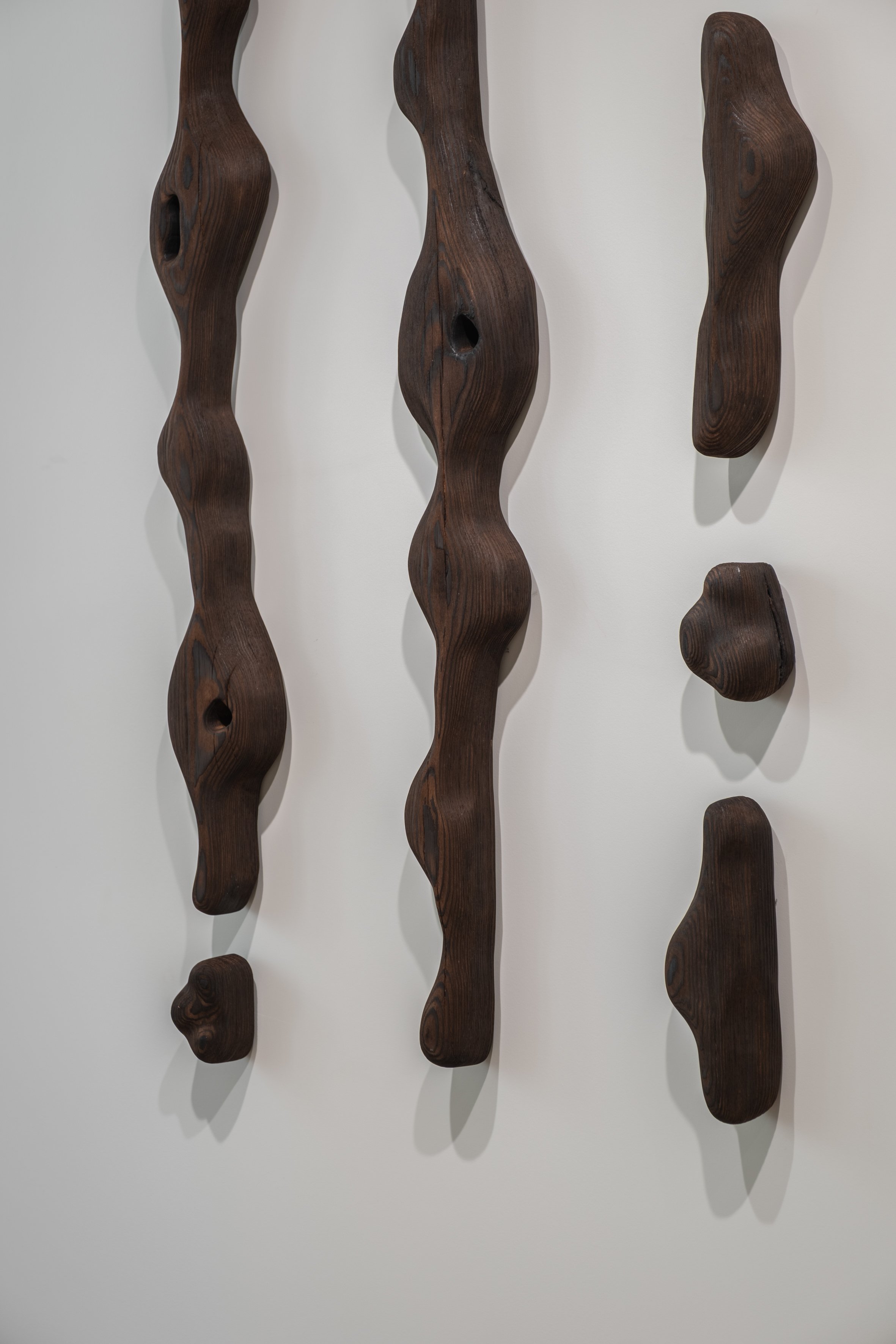 CORTEX no 2 - Yellow Pine