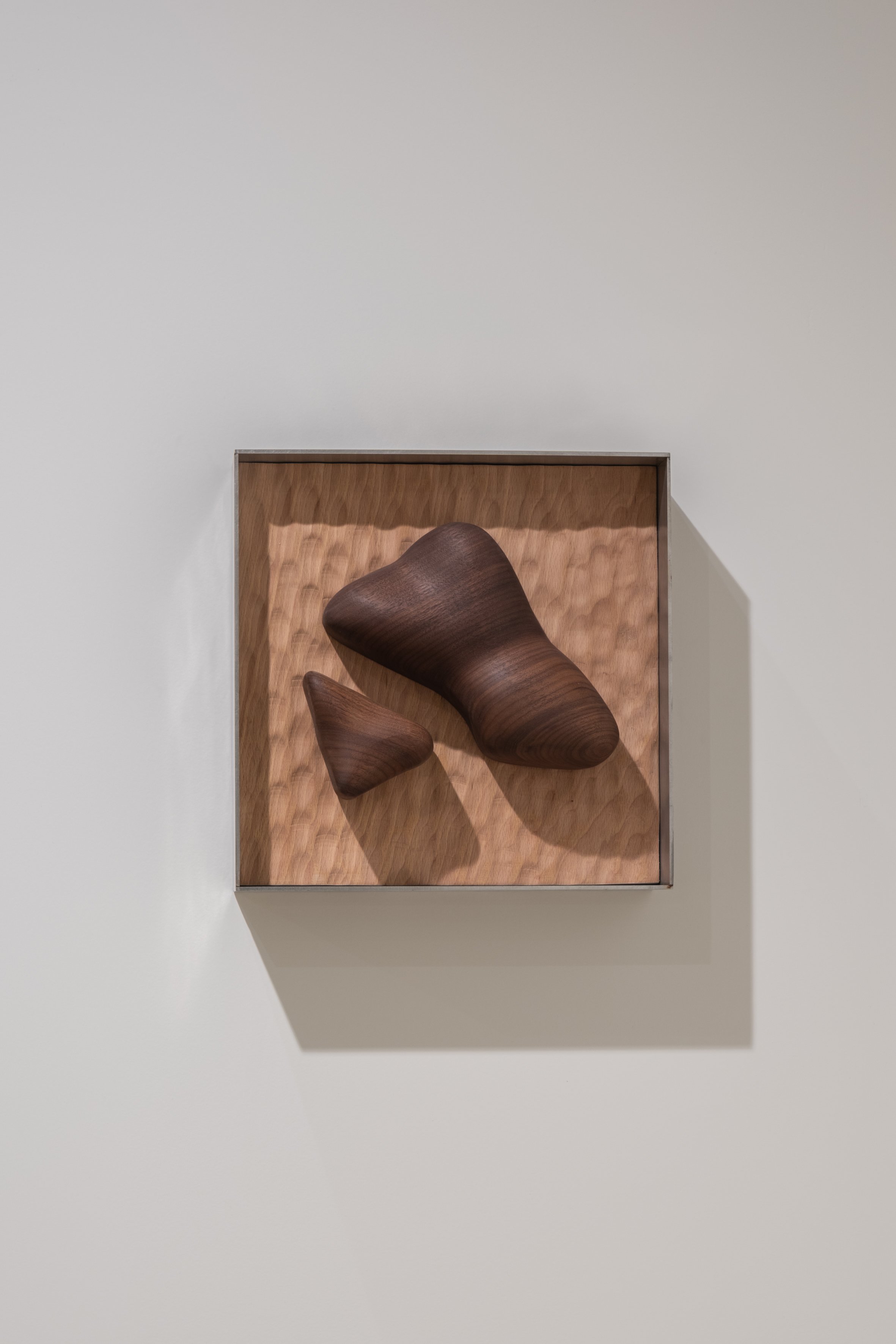 ECHO no 13 - Birch, Walnut & Steel