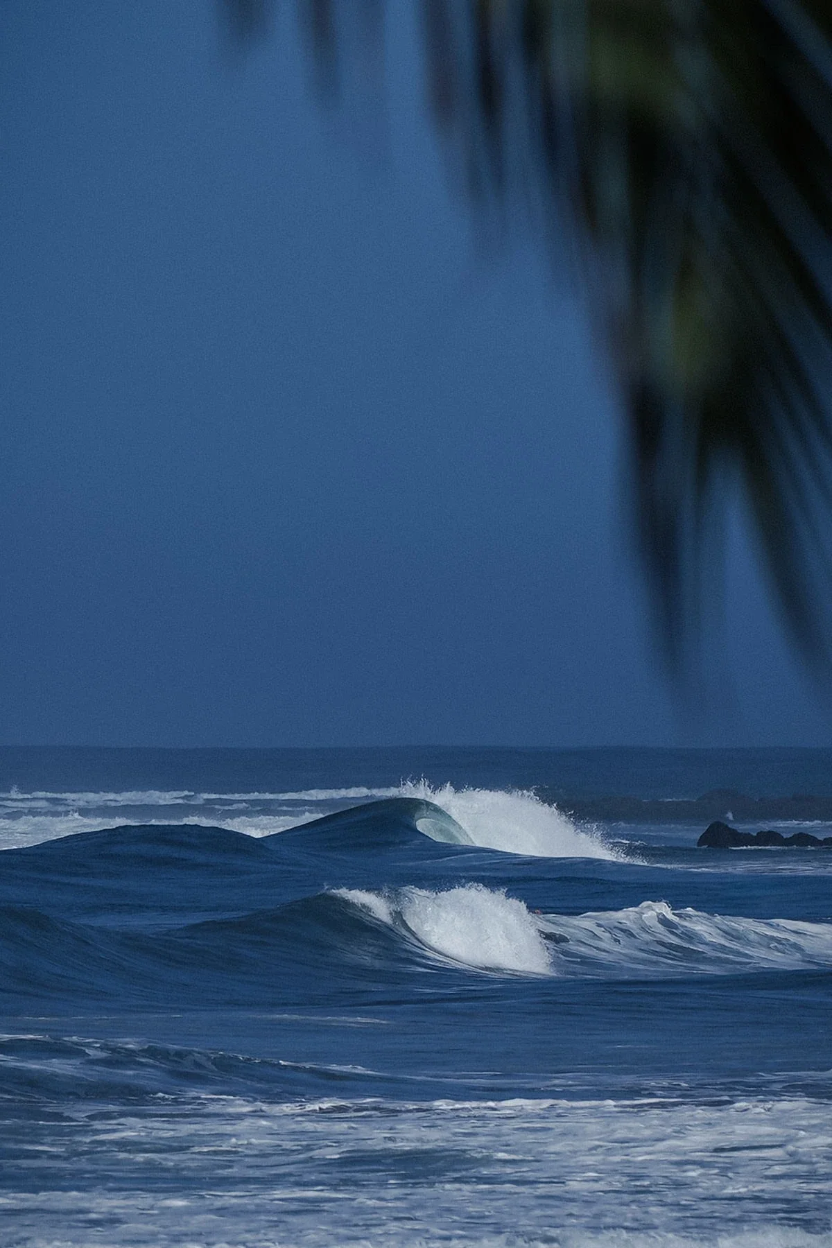 Surf waves breaking at Playa Marbella Costa Rica under a clear blue sky, palm tree branch in the foreground.