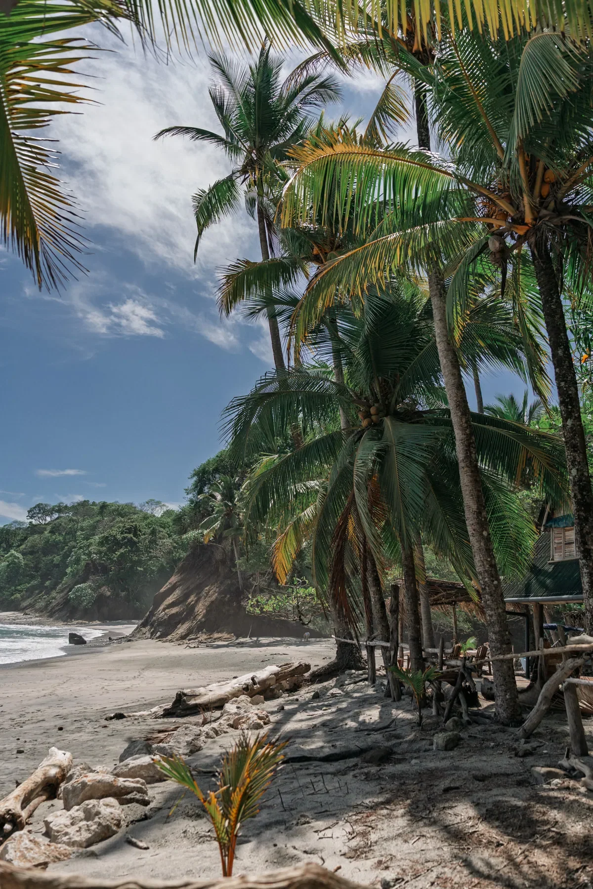 rocky shoreline and lush green hillside, a stunning surf destination on the North Pacific coast