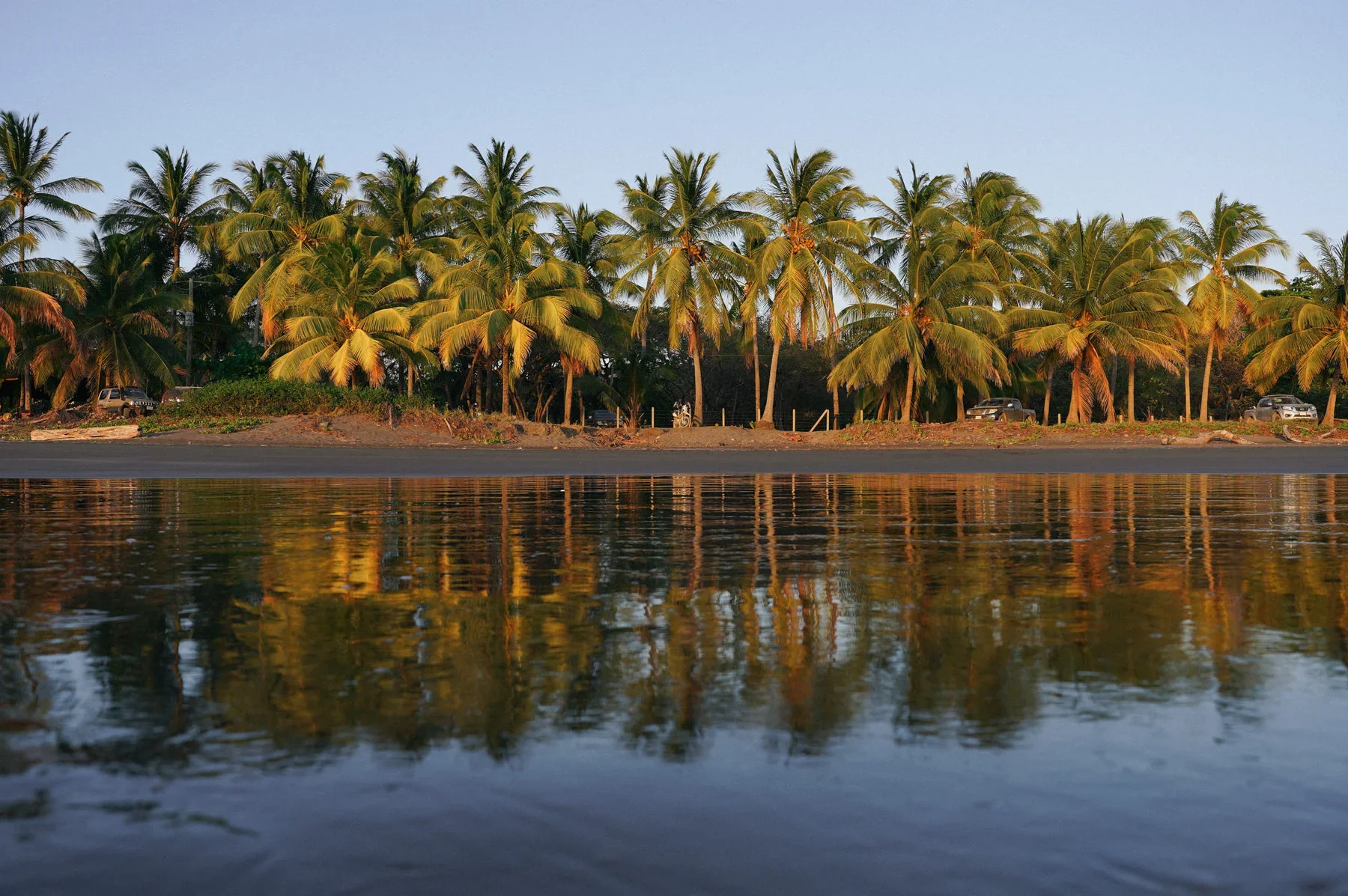 Golden sunset light on palm trees at Marbella Costa Rica, a surf destination on the North Pacific coast.