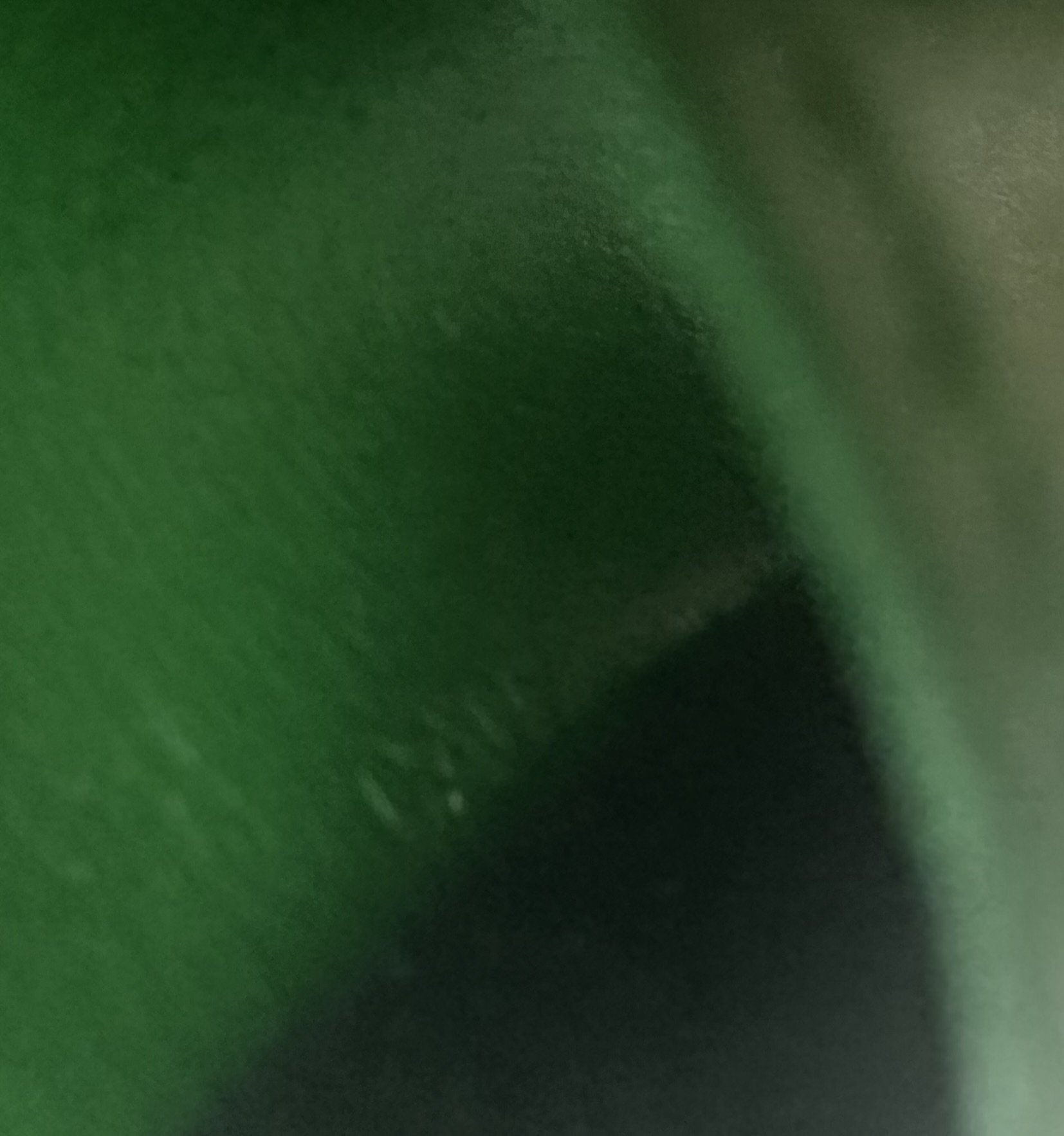 IMG_0359.jpeg