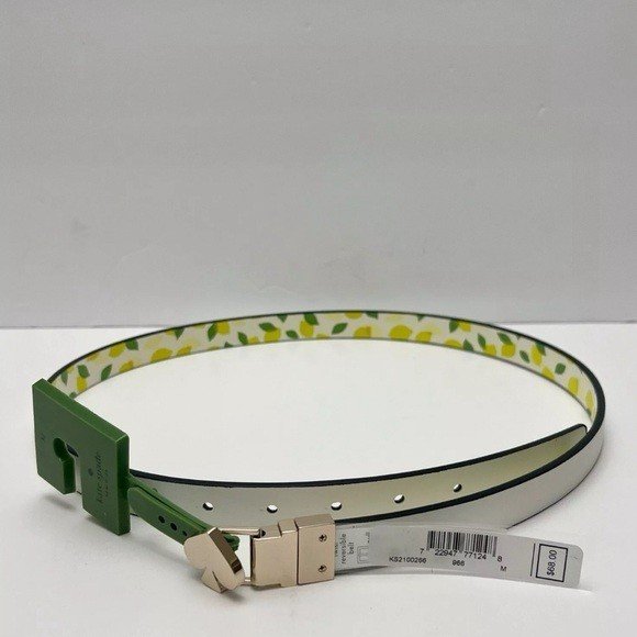 belt3.jpeg