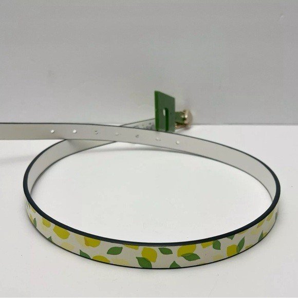 belt4.jpeg