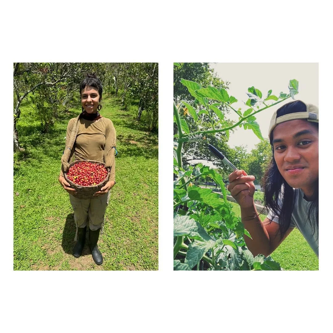 We are thrilled to introduce our 2025 storytelling fellows who are brilliant organizers, farmworkers, and artists across mediums from textile to fermentation to video to oral history. 

Follow along over the next six months to learn more about each o