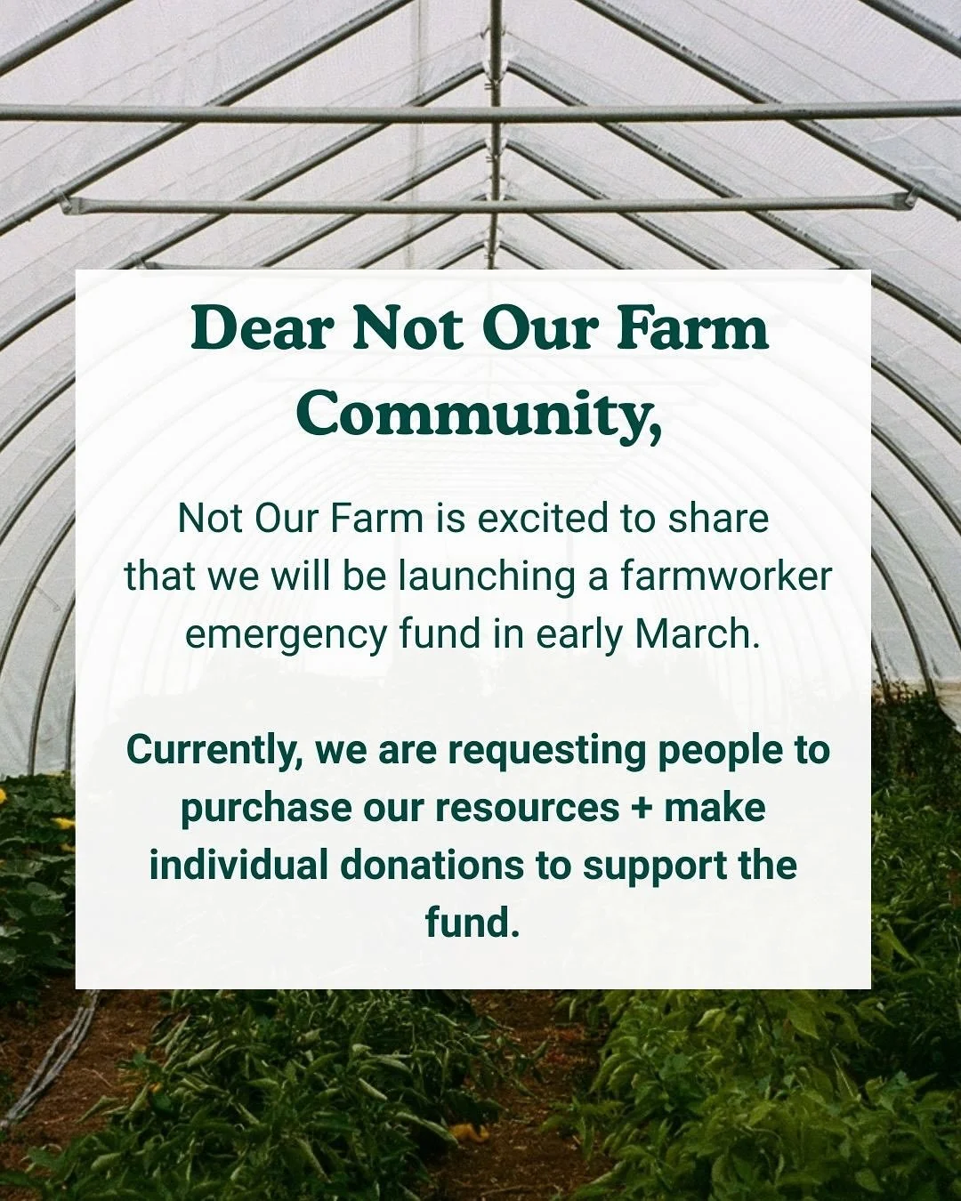 Dear NOF community, 

Not Our Farm is excited to share that we are launching a farmworker emergency fund in early March. Currently, we are requesting people to support by purchasing resources and making individual donations. You can purchase resource
