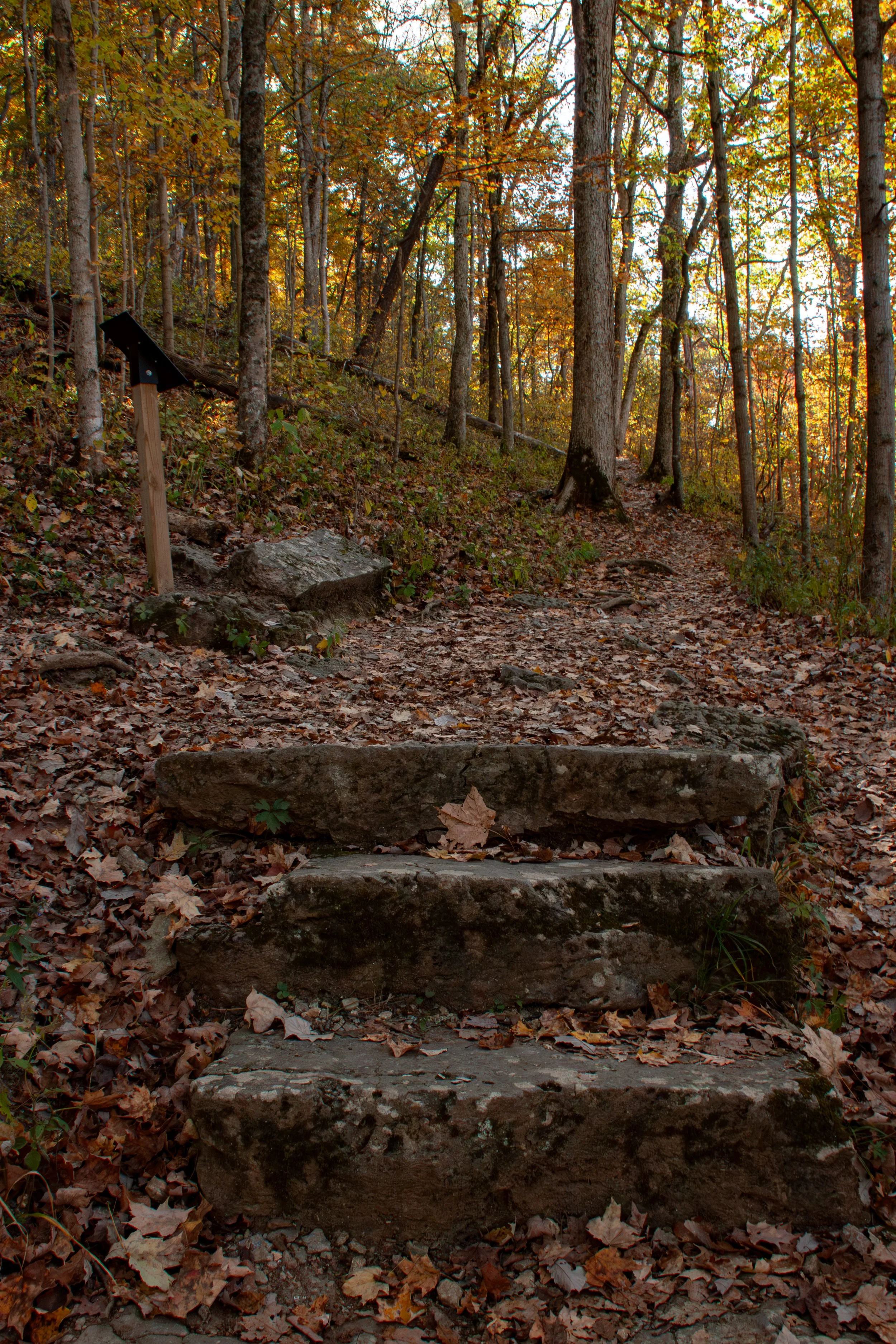 CliftyFalls_Climb Up to follow the Trail_10.jpg