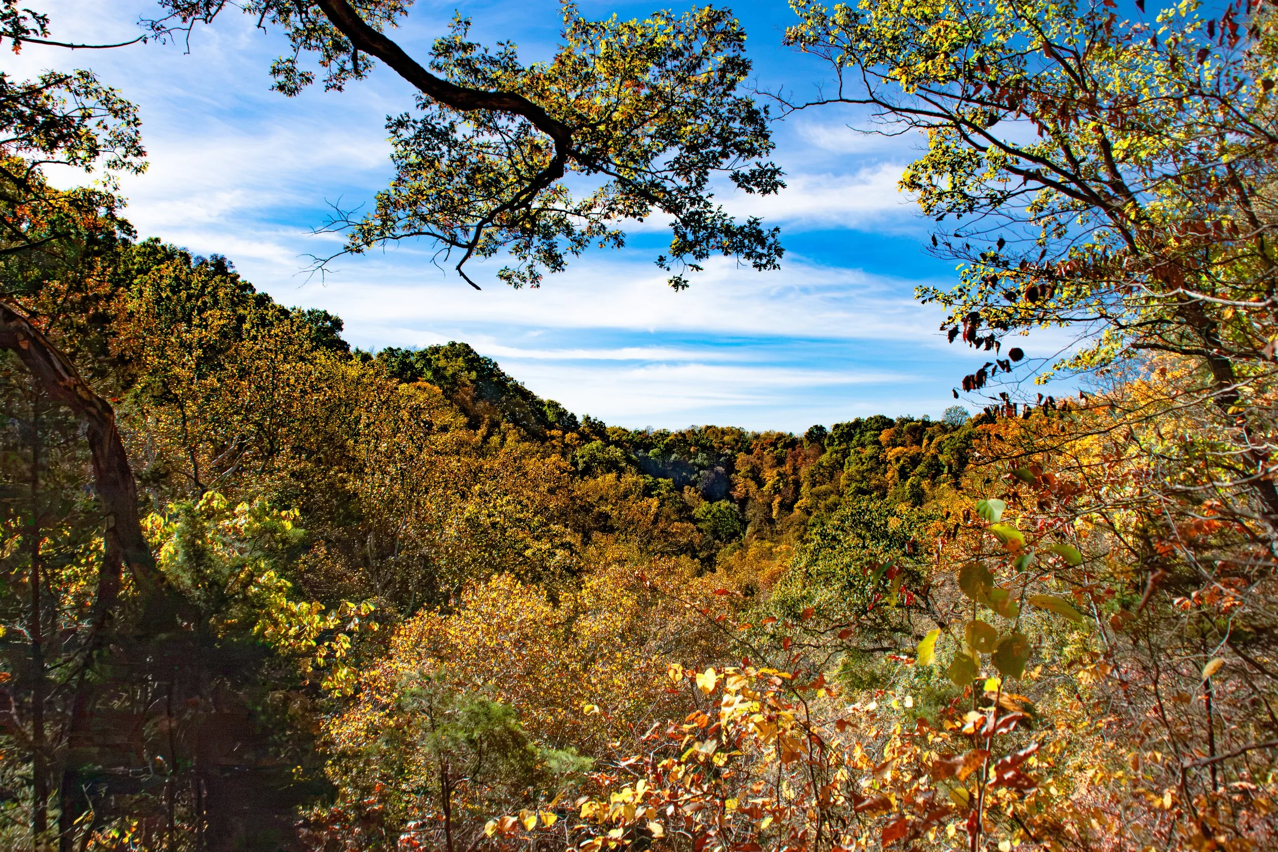 CliftyFalls_Fall Colors_01.jpg