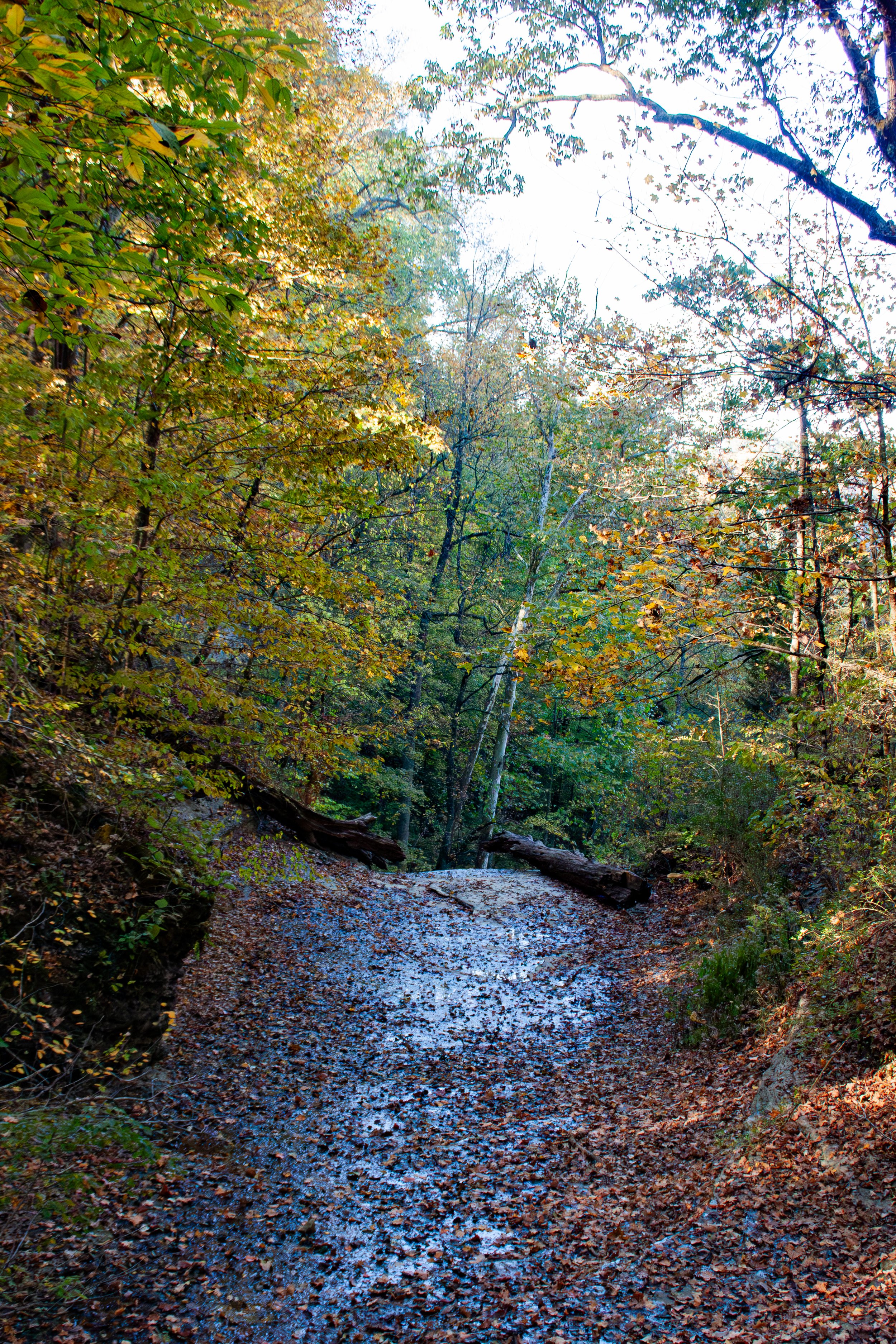 CliftyFalls_Creek01.jpg