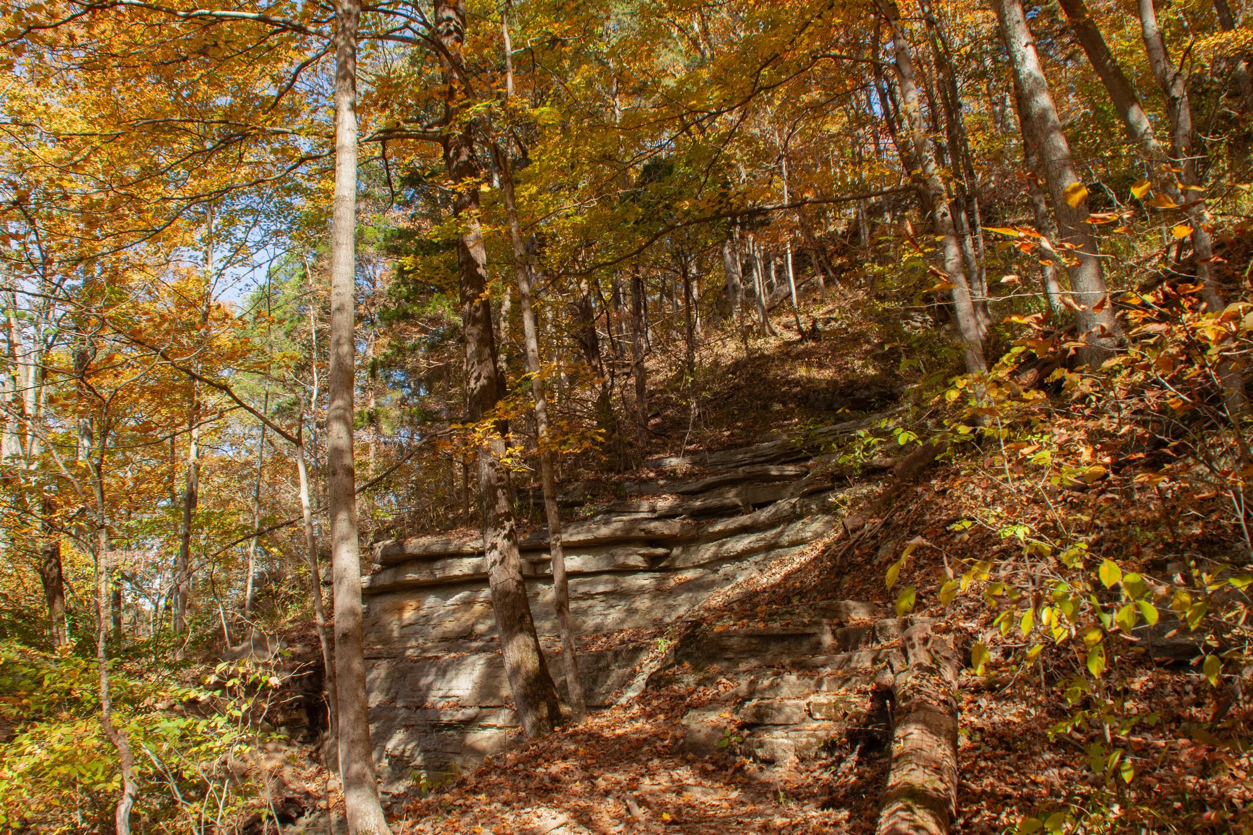 CliftyFalls_Climb Down to follow the Trail_03.jpg