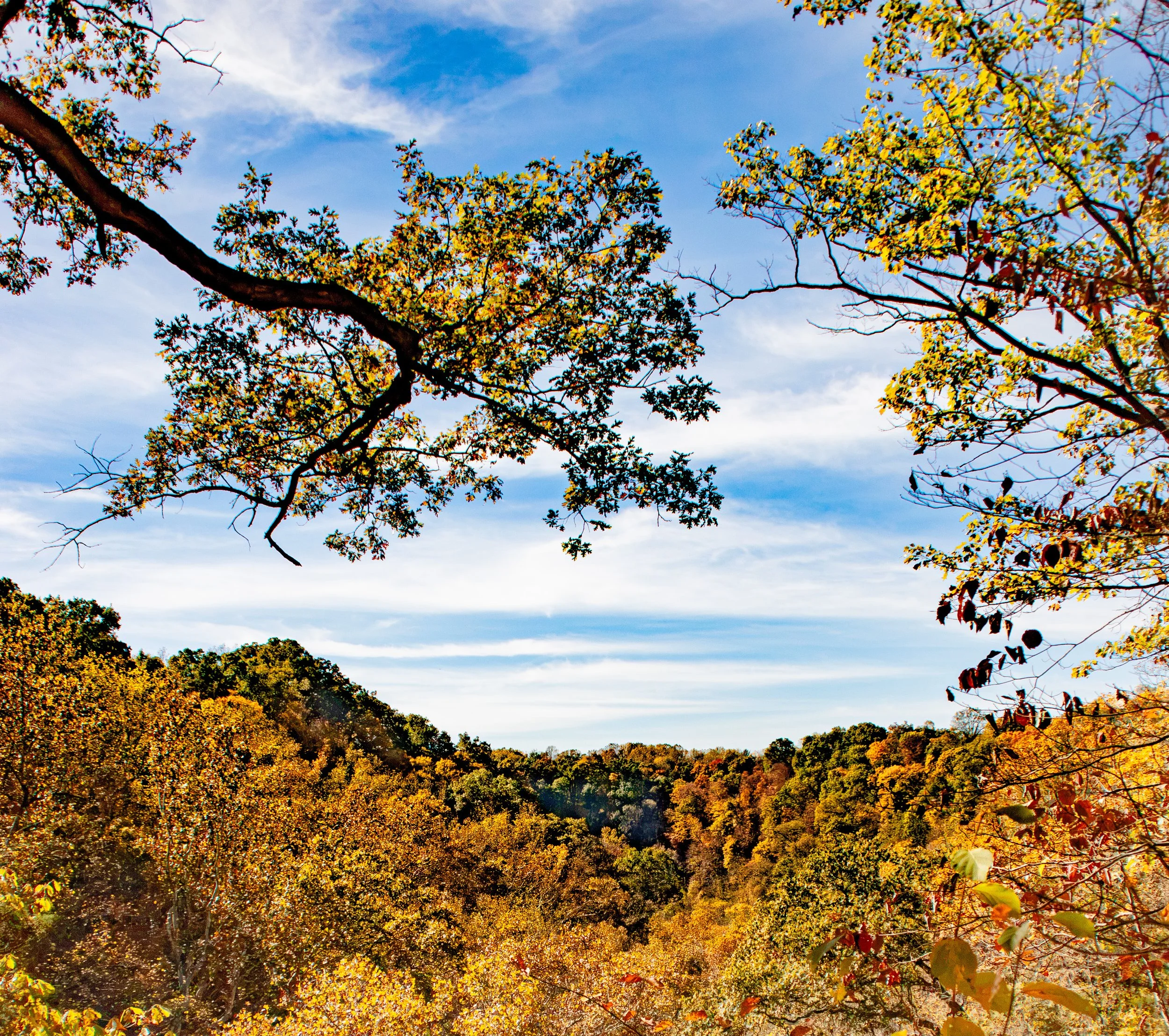 CliftyFalls_Fall Colors_02.jpg