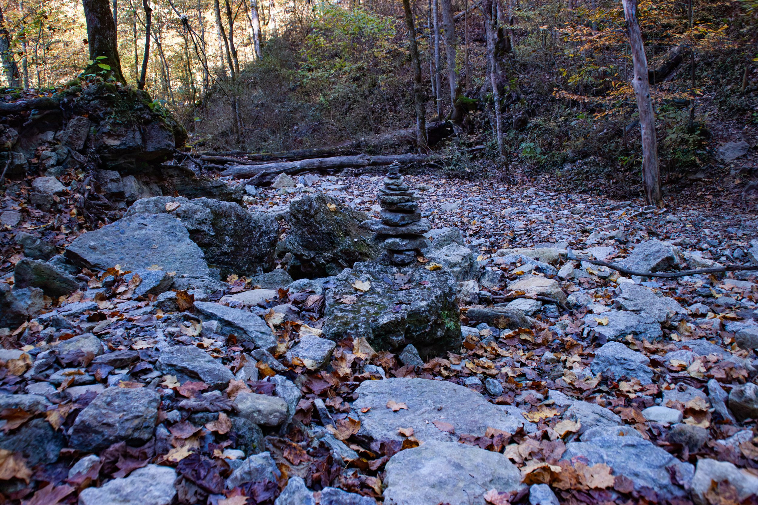 CliftyFalls_Trail_Cairns01.jpg