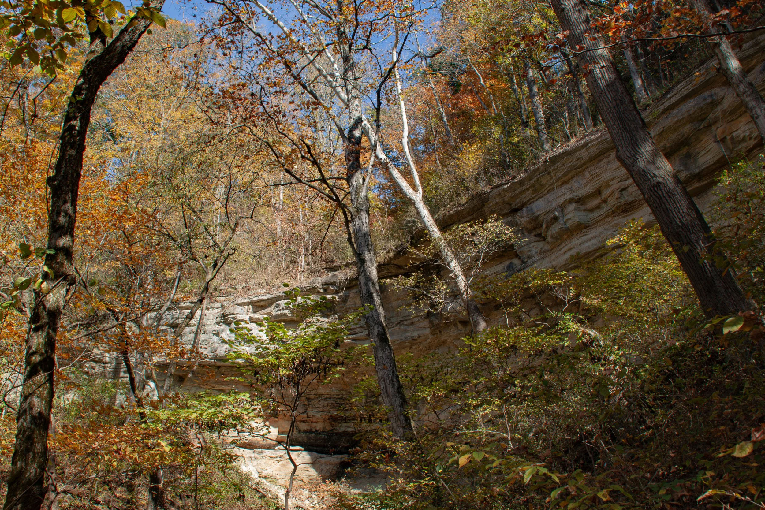 CliftyFalls_Overhang_02.jpg