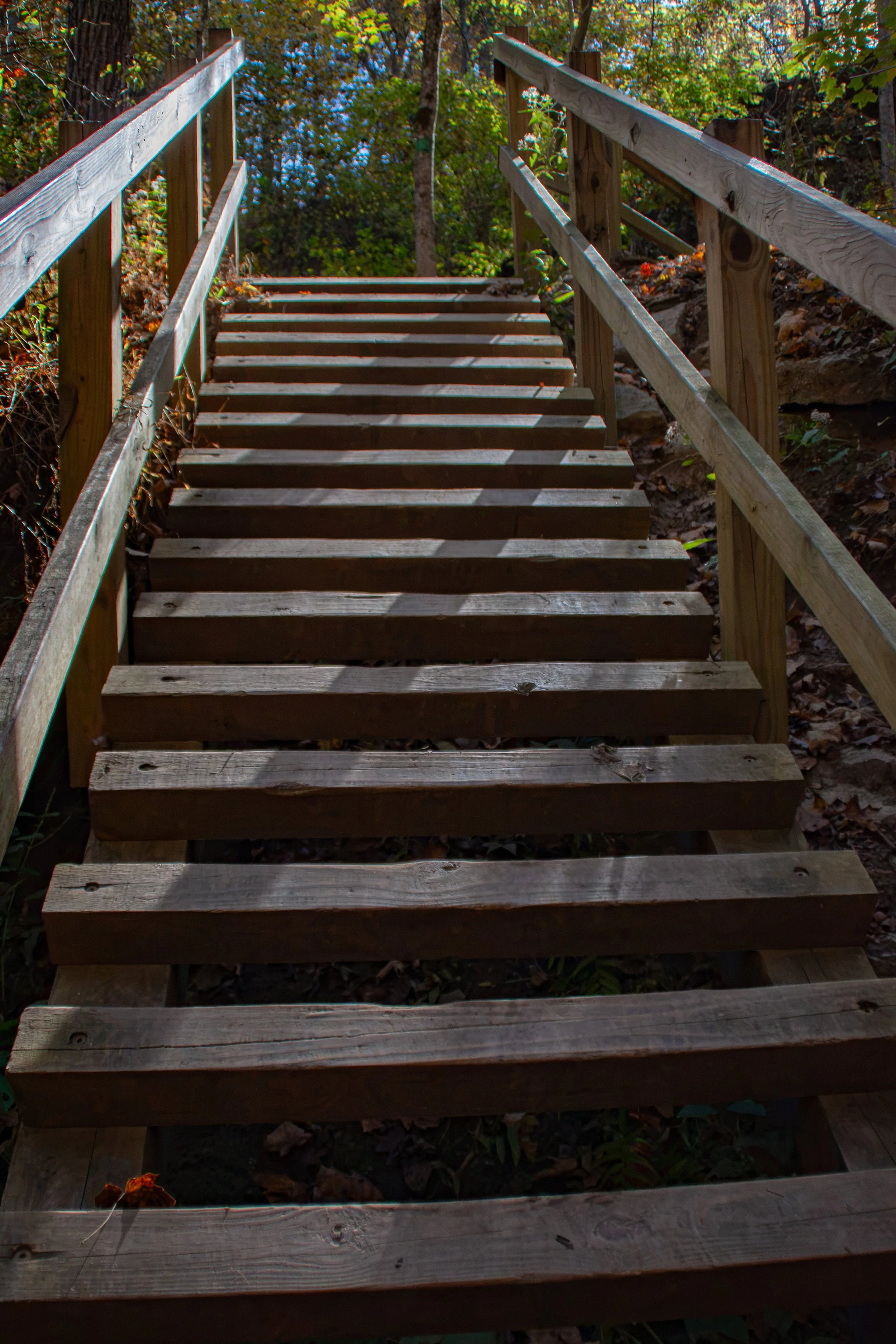 CliftyFalls_The Ladder.jpg
