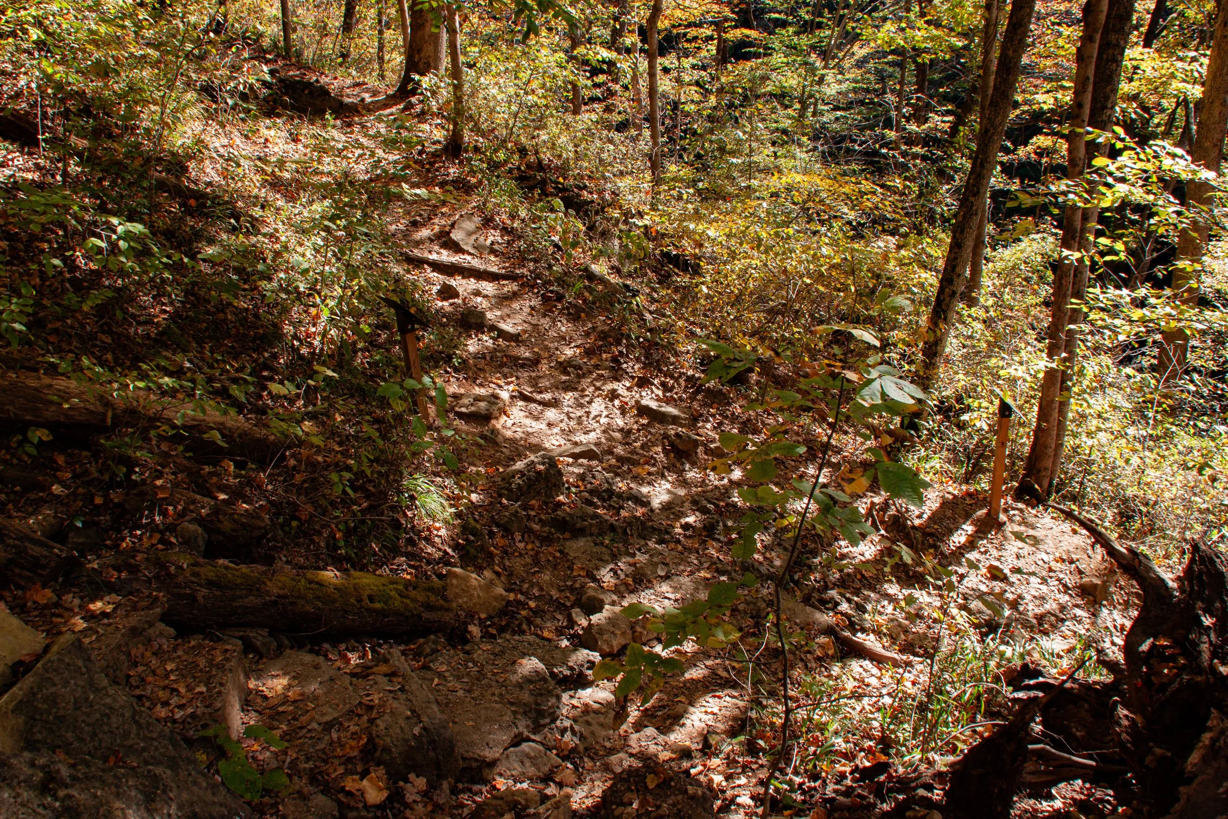 CliftyFalls_Climb Down to follow the Trail_02.jpg