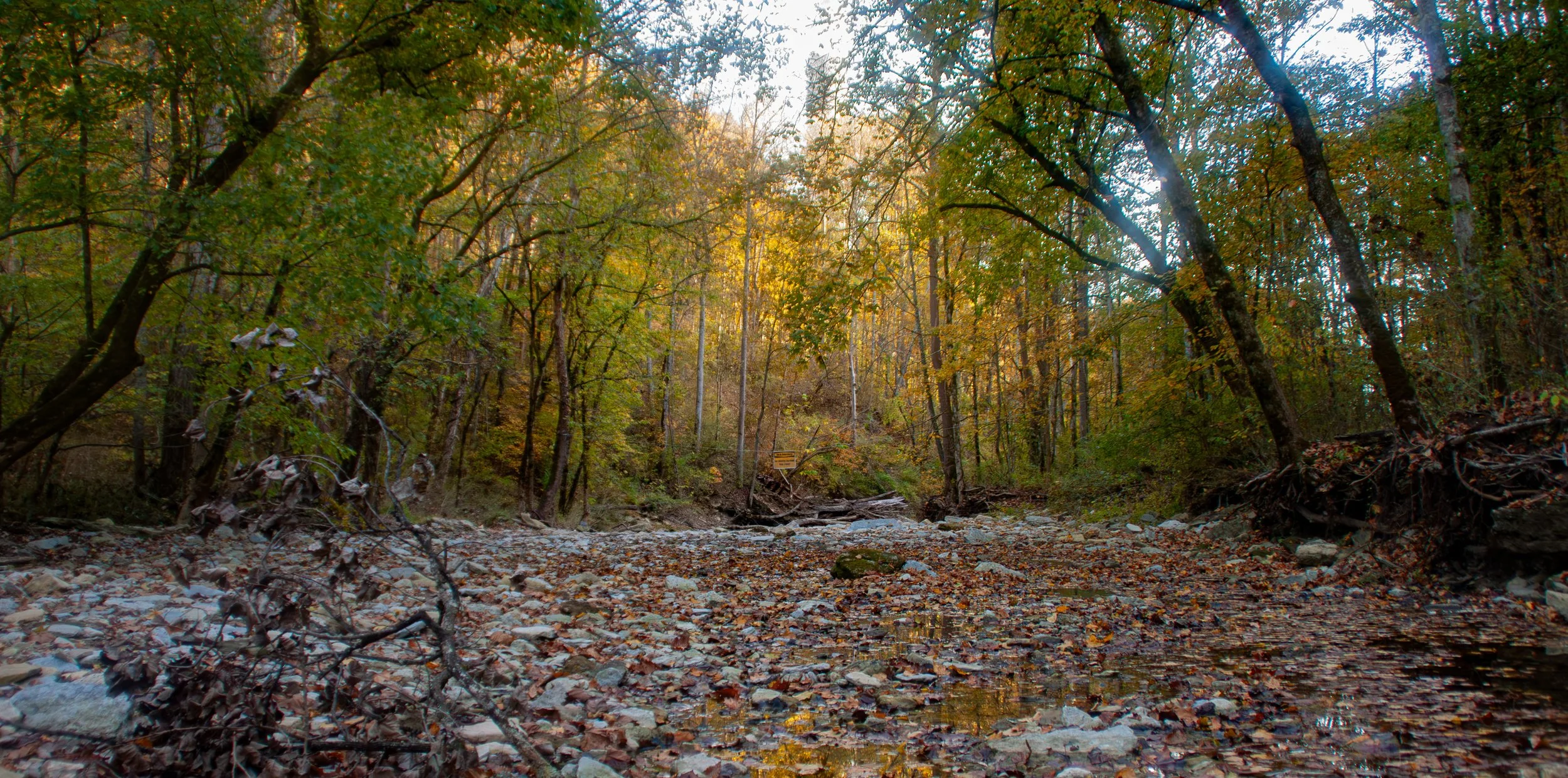 CliftyFalls_Trail End_03.jpg