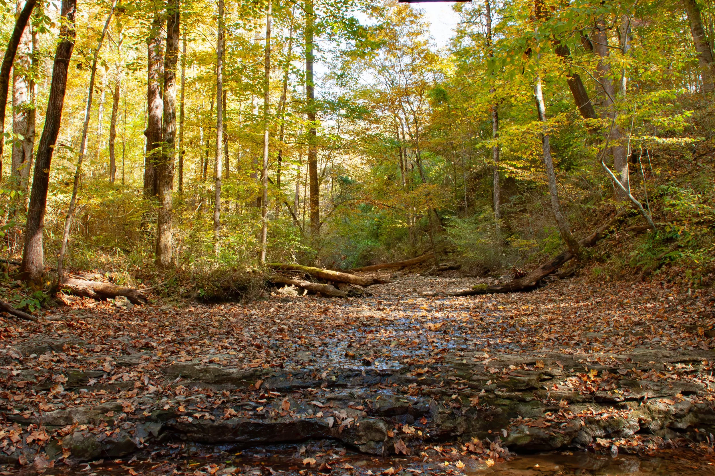 CliftyFalls_Riverbed01 - Trail 03.jpg