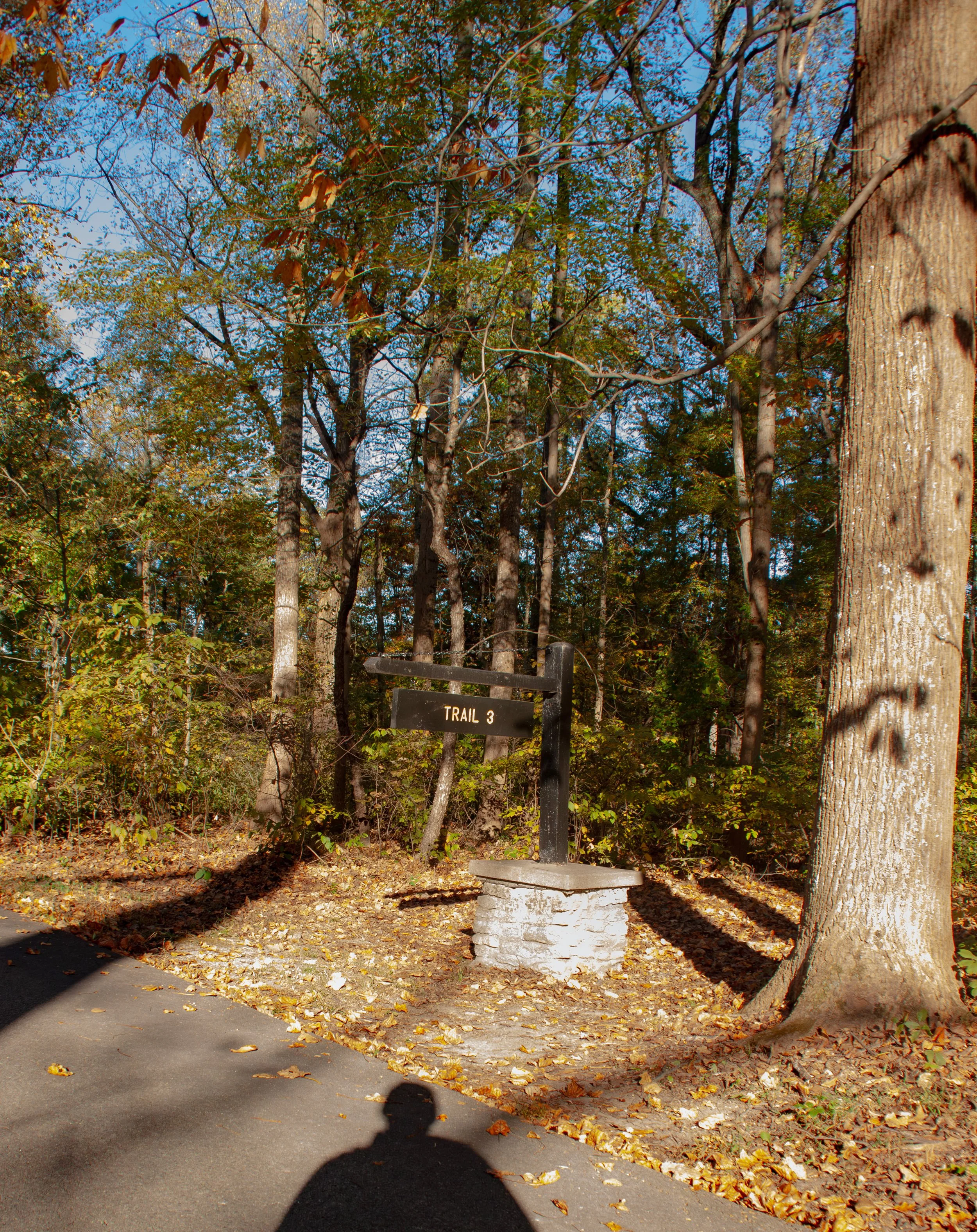 CliftyFalls_Trailhead_01.jpg