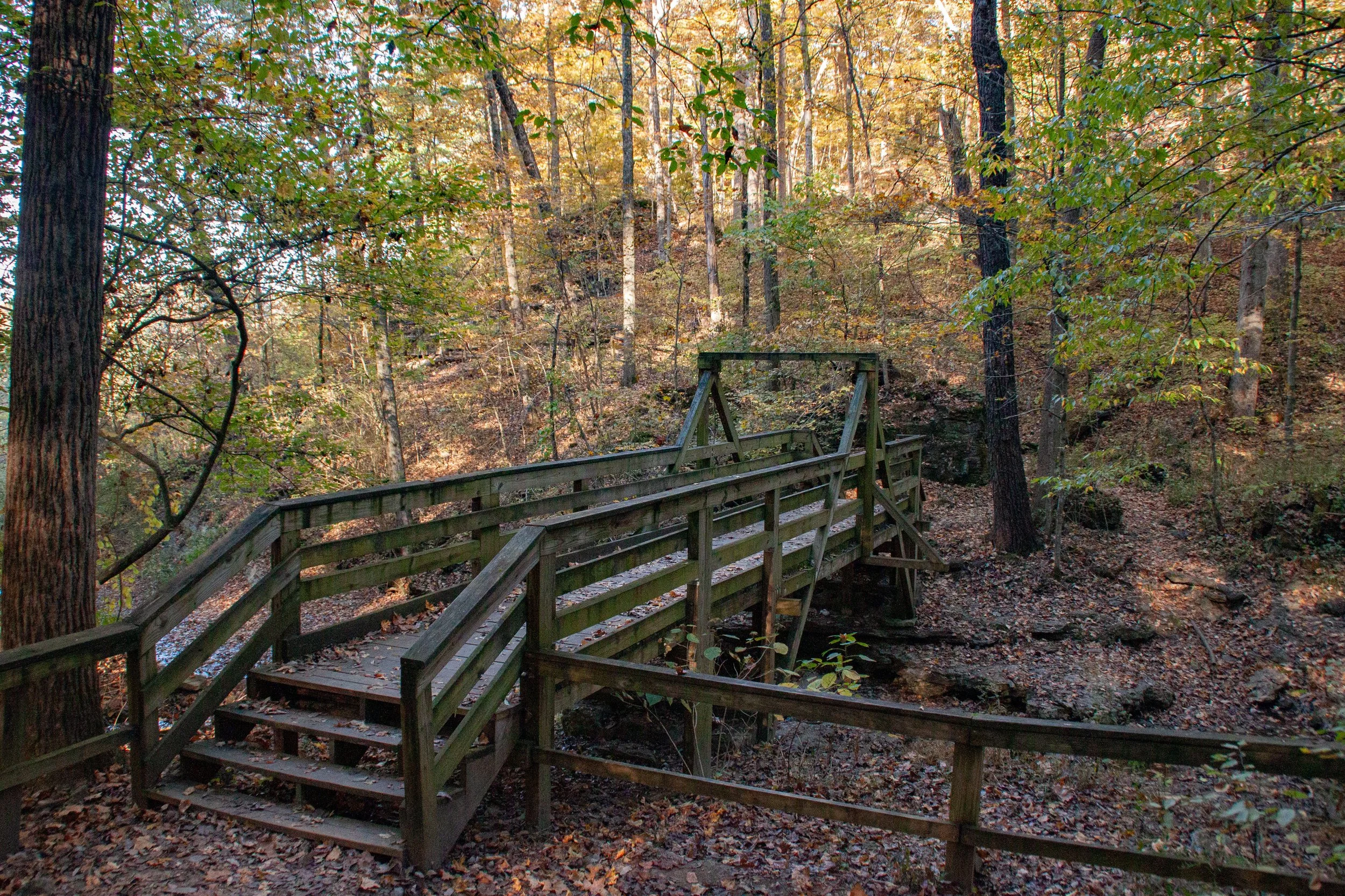 CliftyFall_Woods Bridge_02.jpg