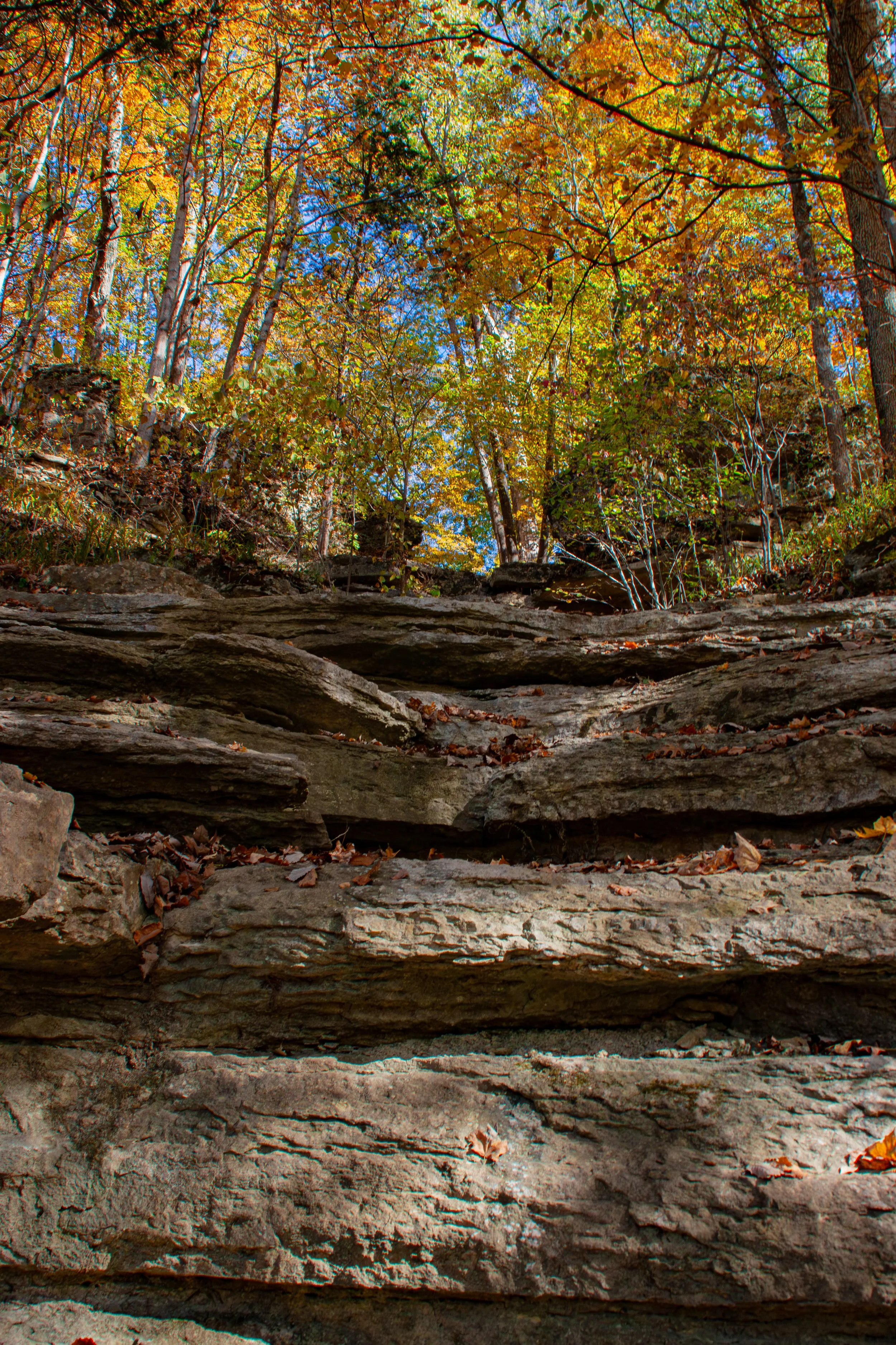 CliftyFalls_Climb Up to follow the Trail_05.jpg