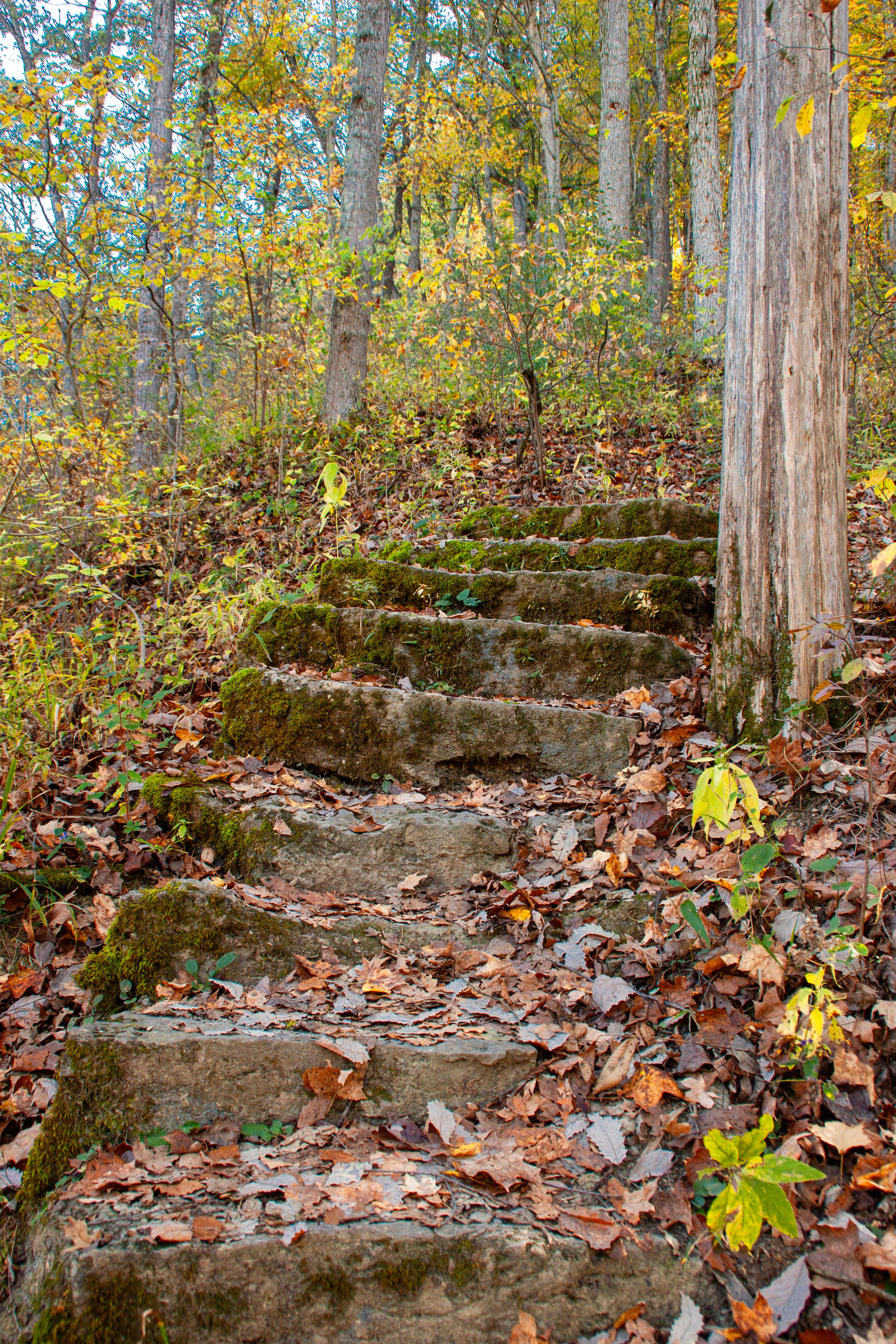 CliftyFall_Staircase01.jpg