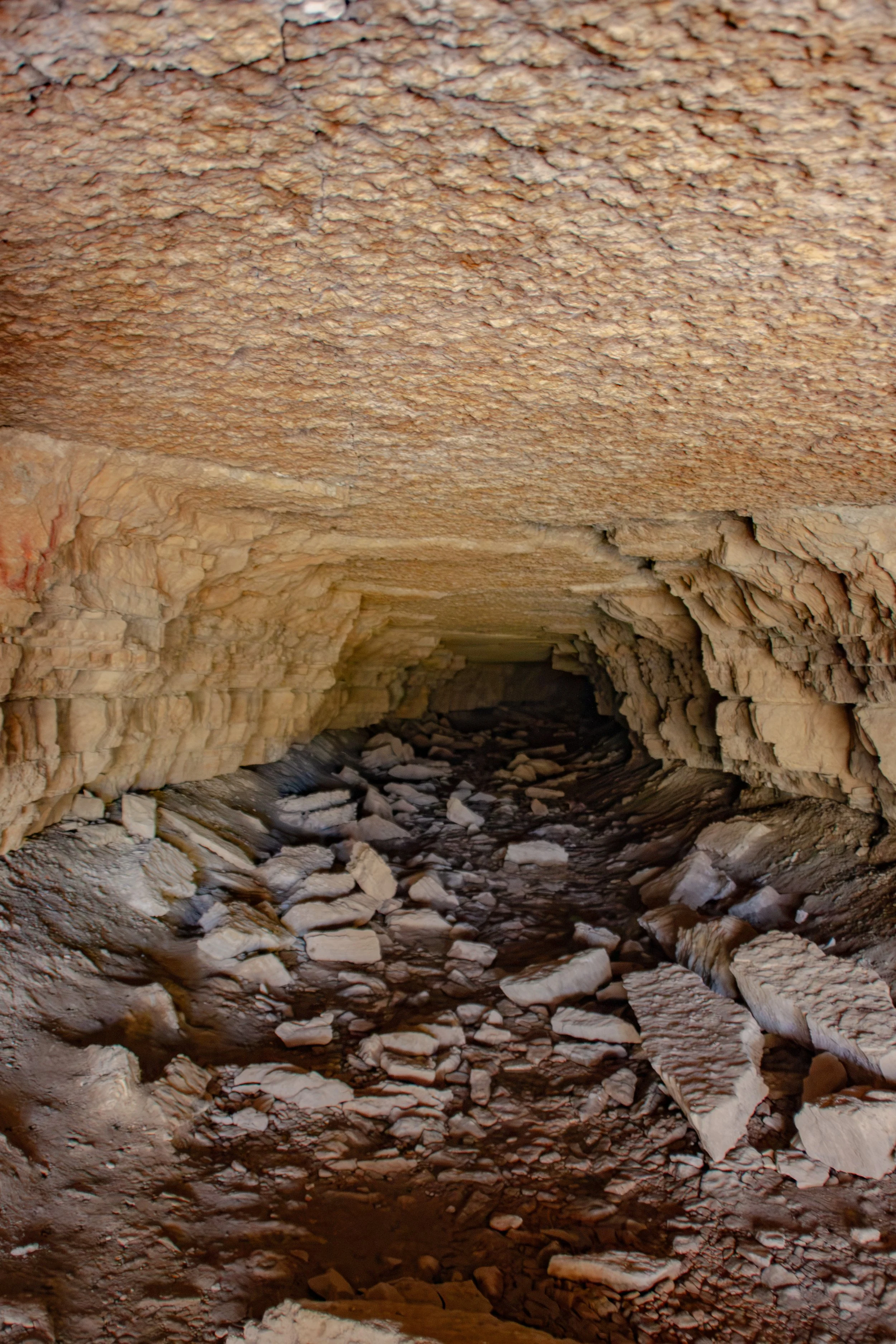 CliftyFalls_Tunnel_01.jpg