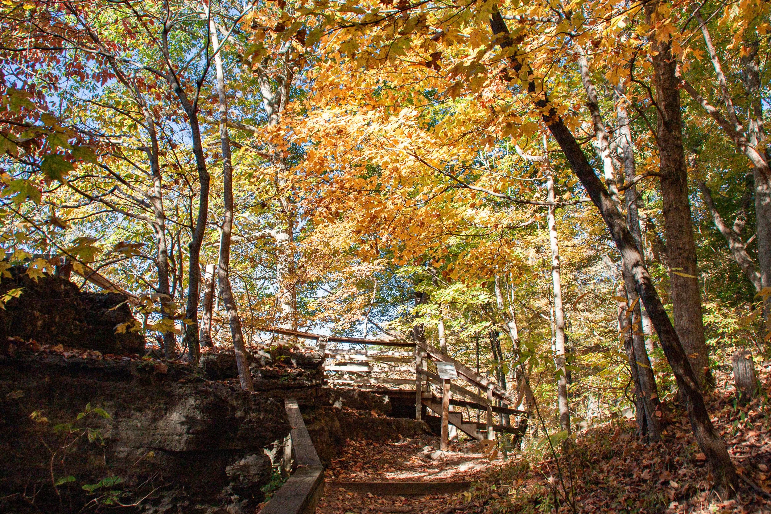 CliftyFalls_Fall Colors_04.jpg