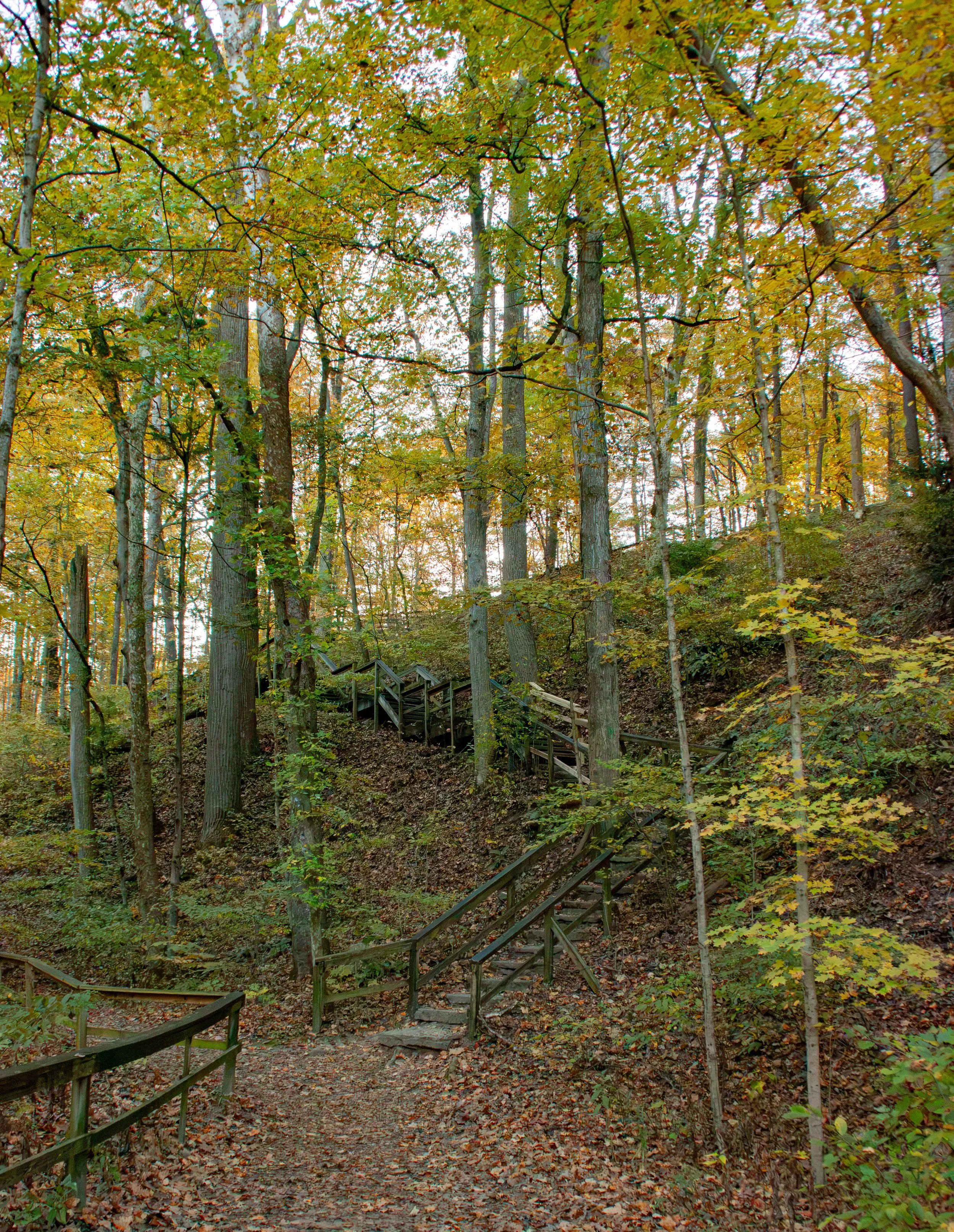 CliftyFalls_Climb Up to follow the Trail_01.jpg