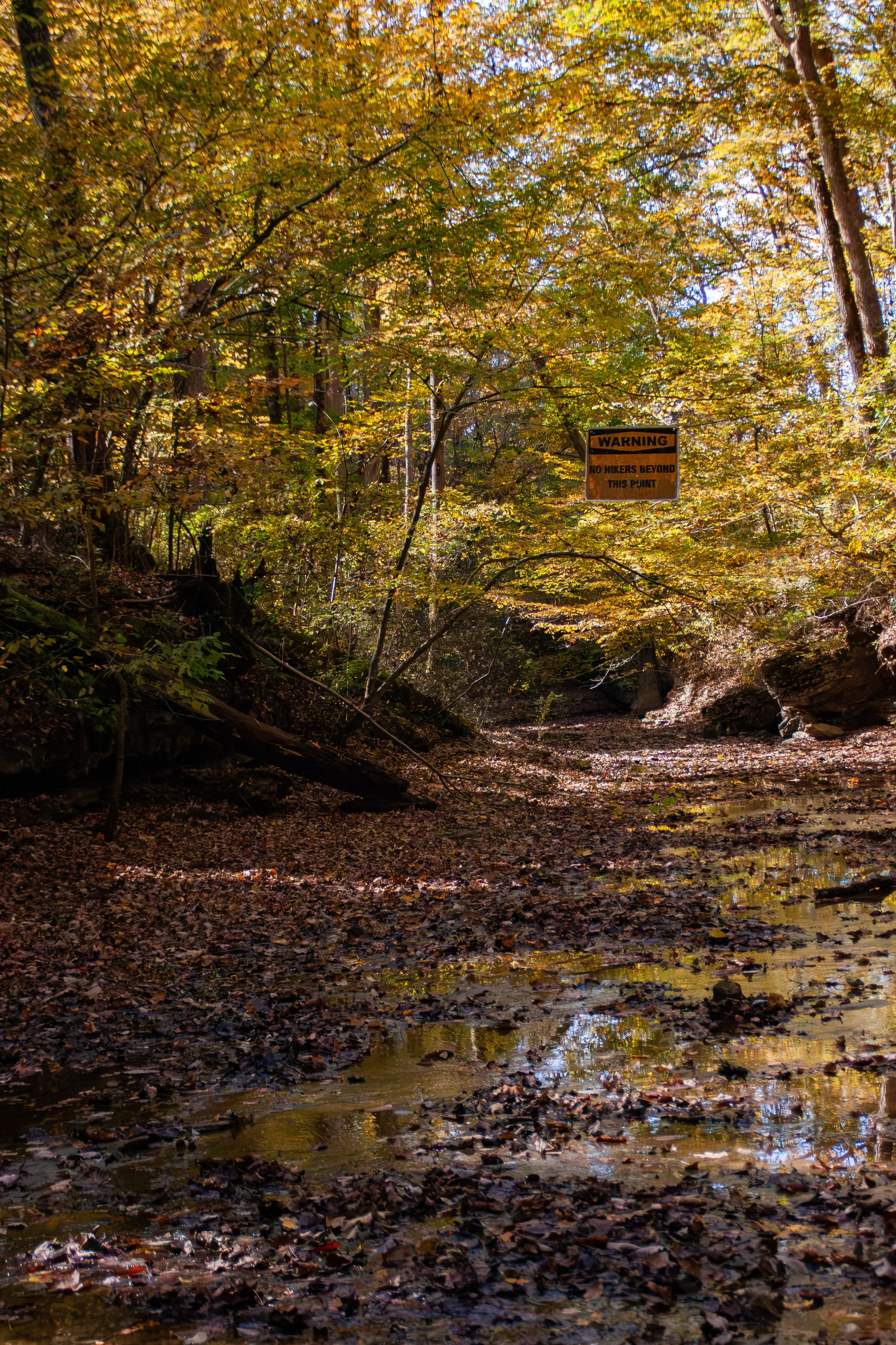 CliftyFalls_Trail End_01.jpg