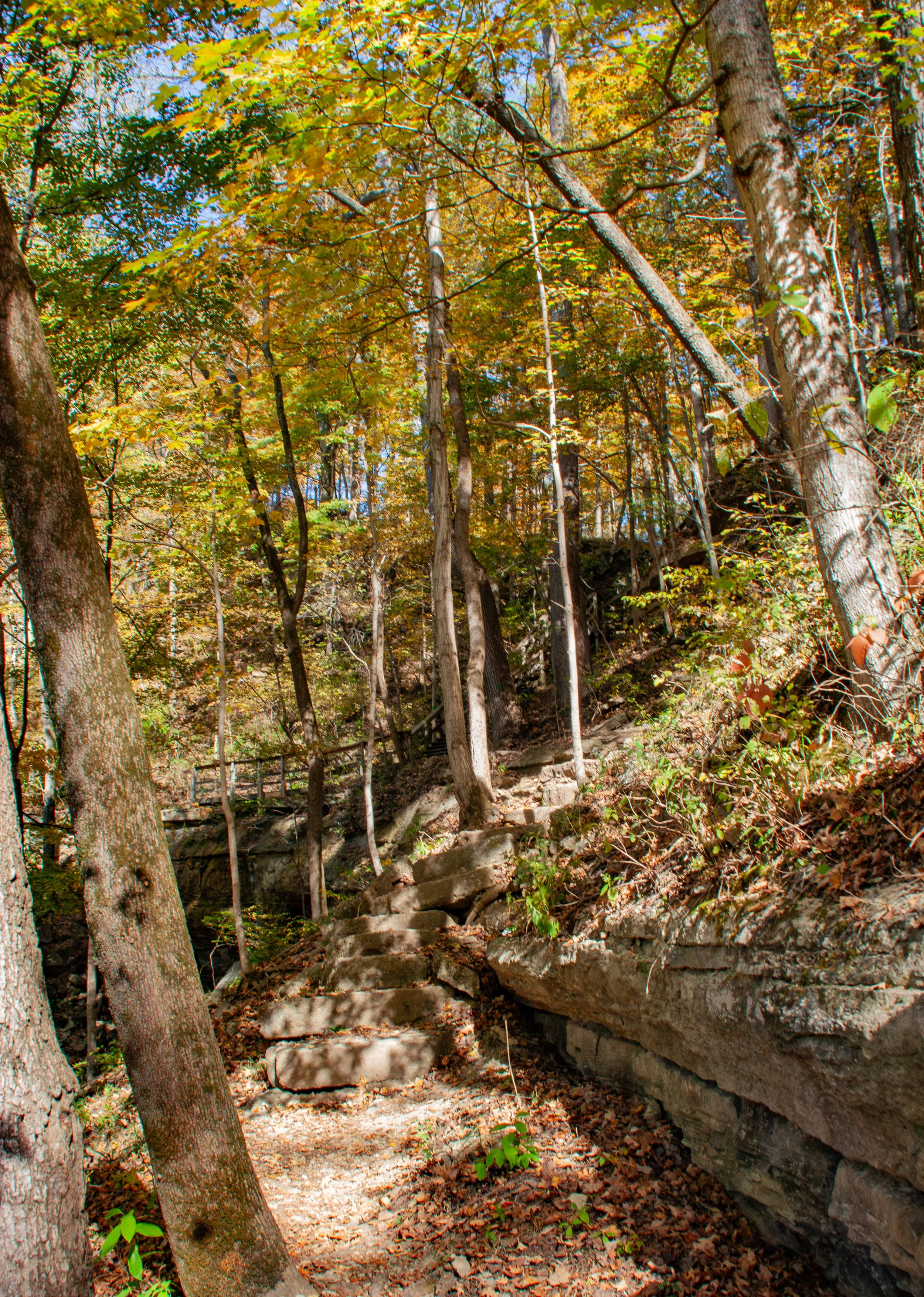 CliftyFalls_Climb Up to follow the Trail_03.jpg