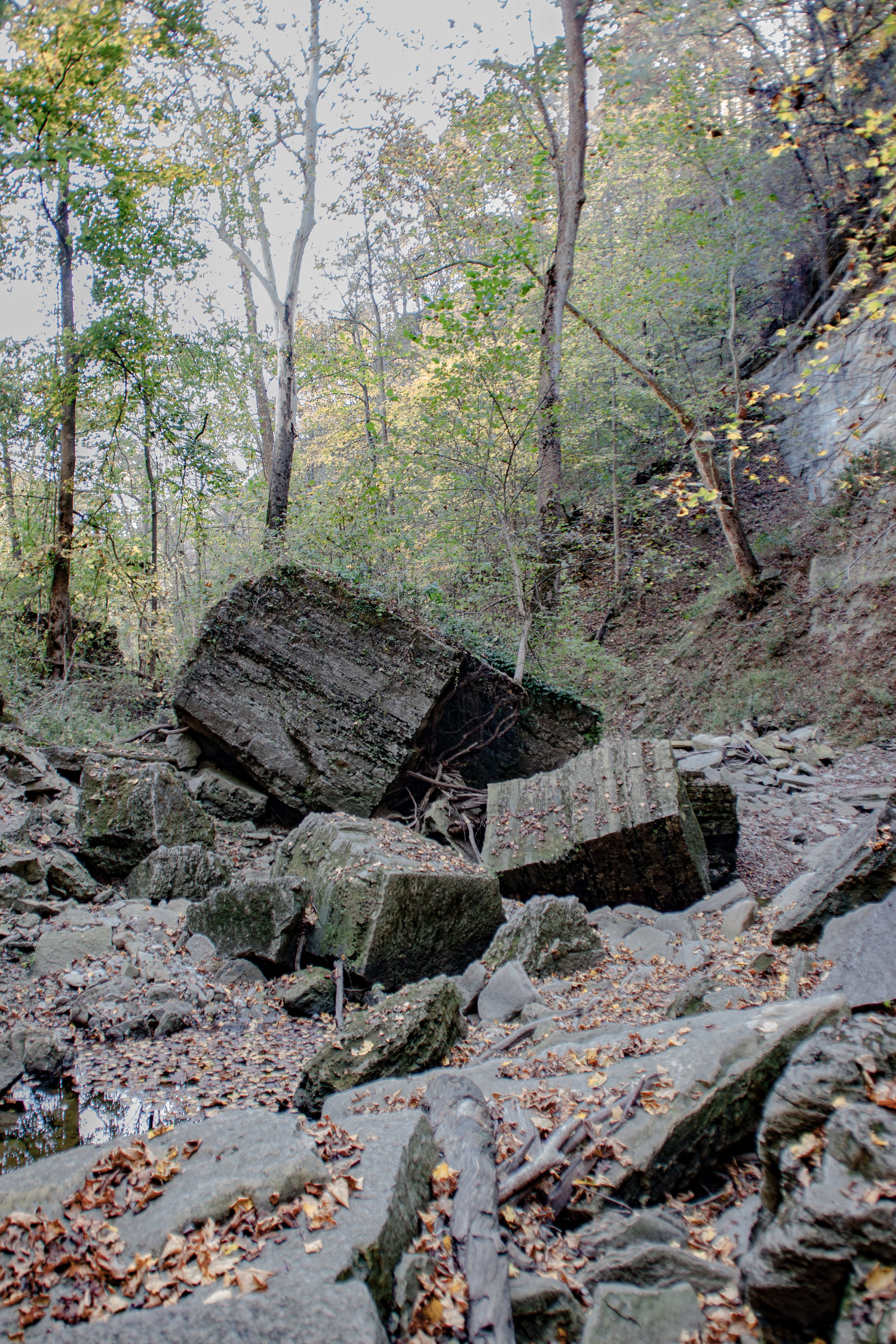 CliftyFalls_River Trail Boulders_02.jpg