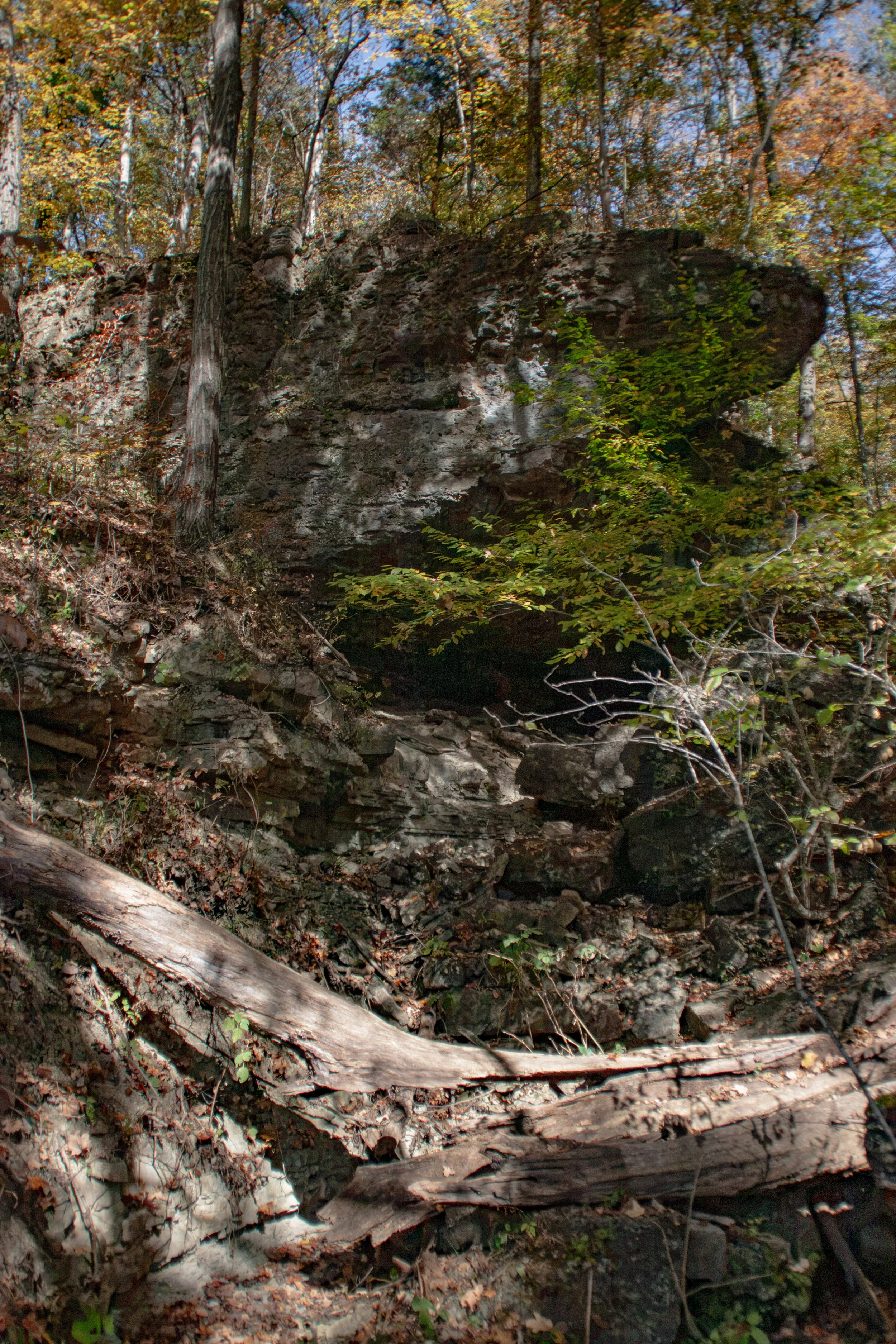 CliftyFalls_Climb Up to follow the Trail_07.jpg