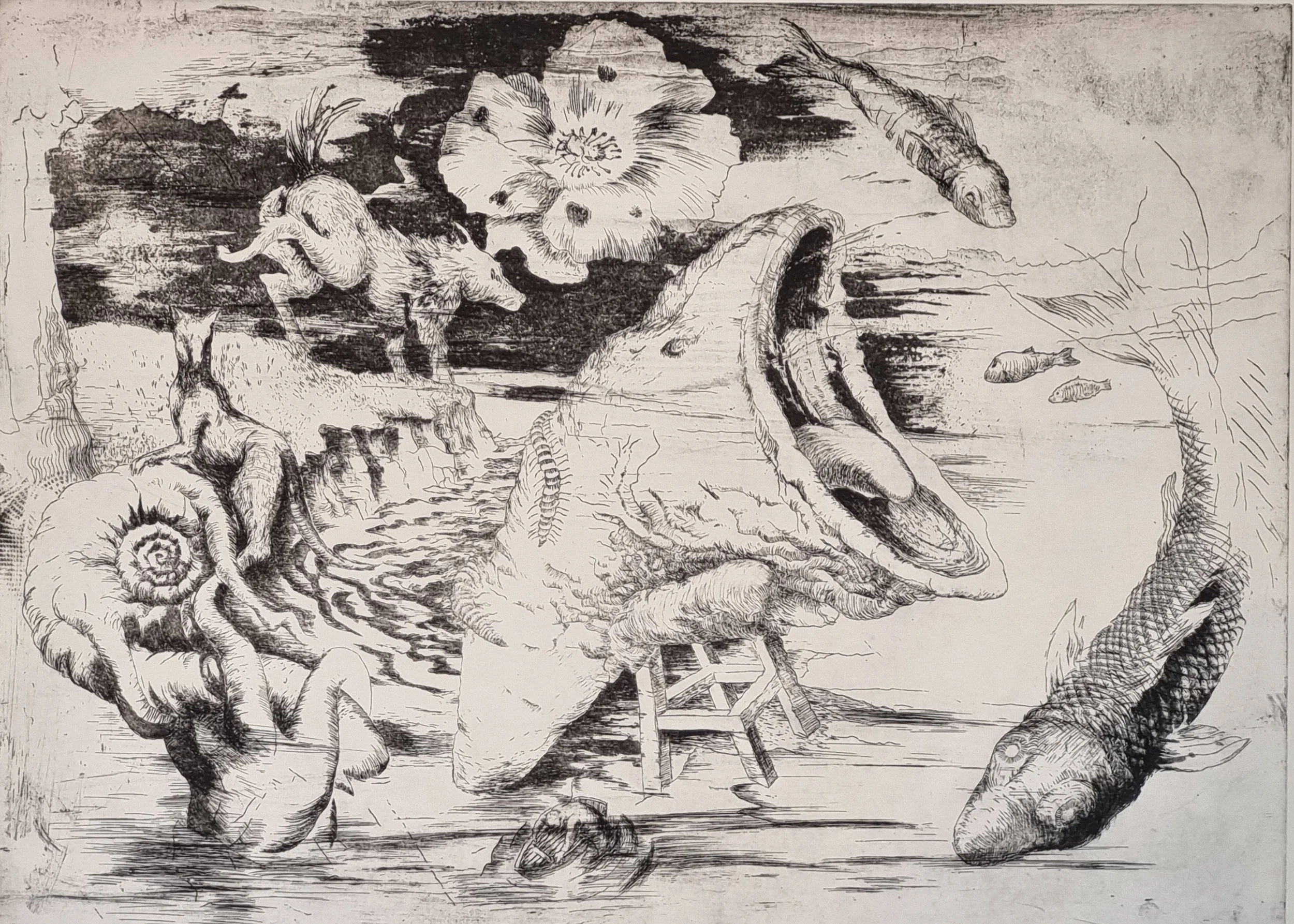 

‘Cornucopia’  

Lithograph 

55 by 75cm, 2008
