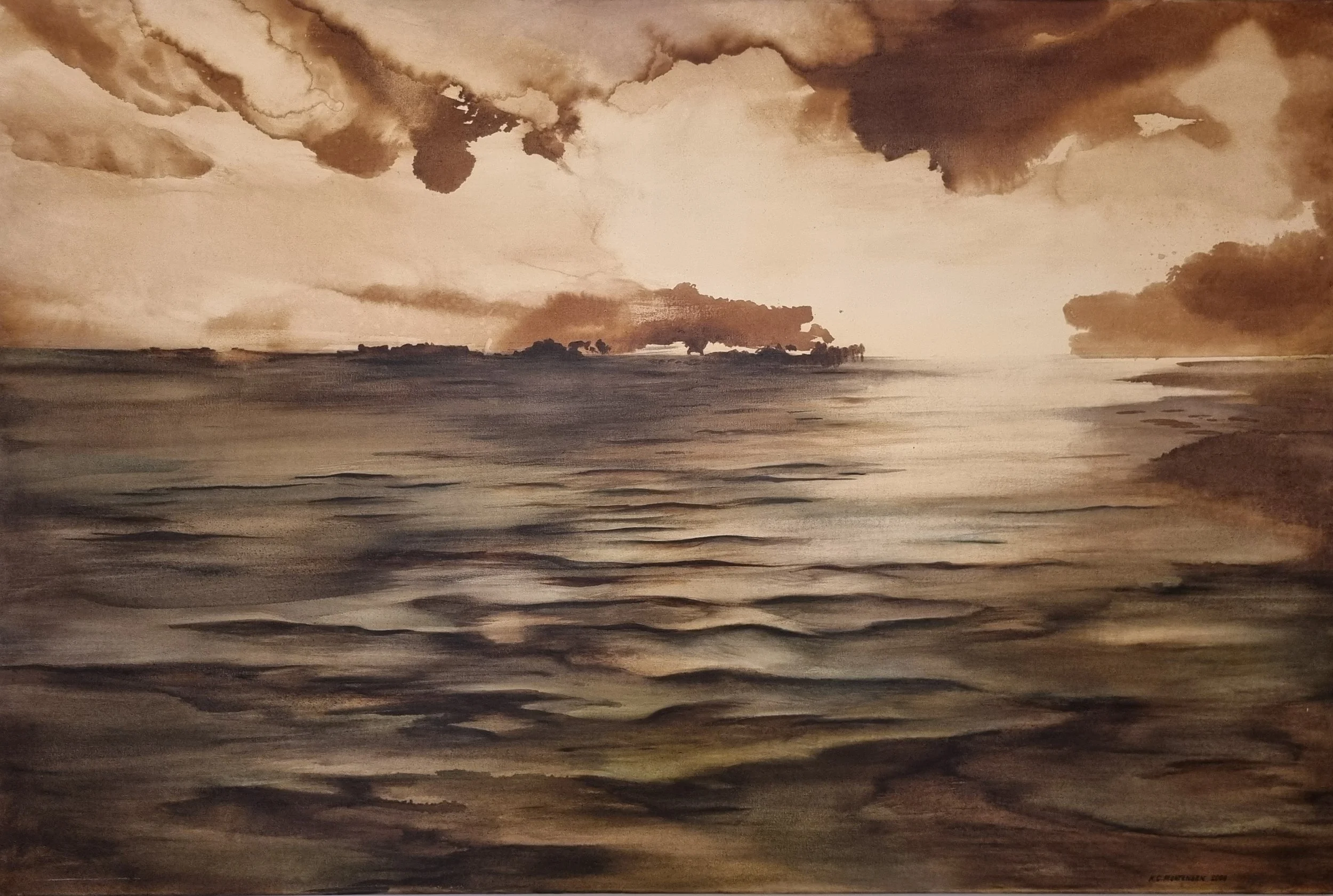 

‘Mallacoota’  

Oil and Bitumen

120 by 180cm, 2004 
