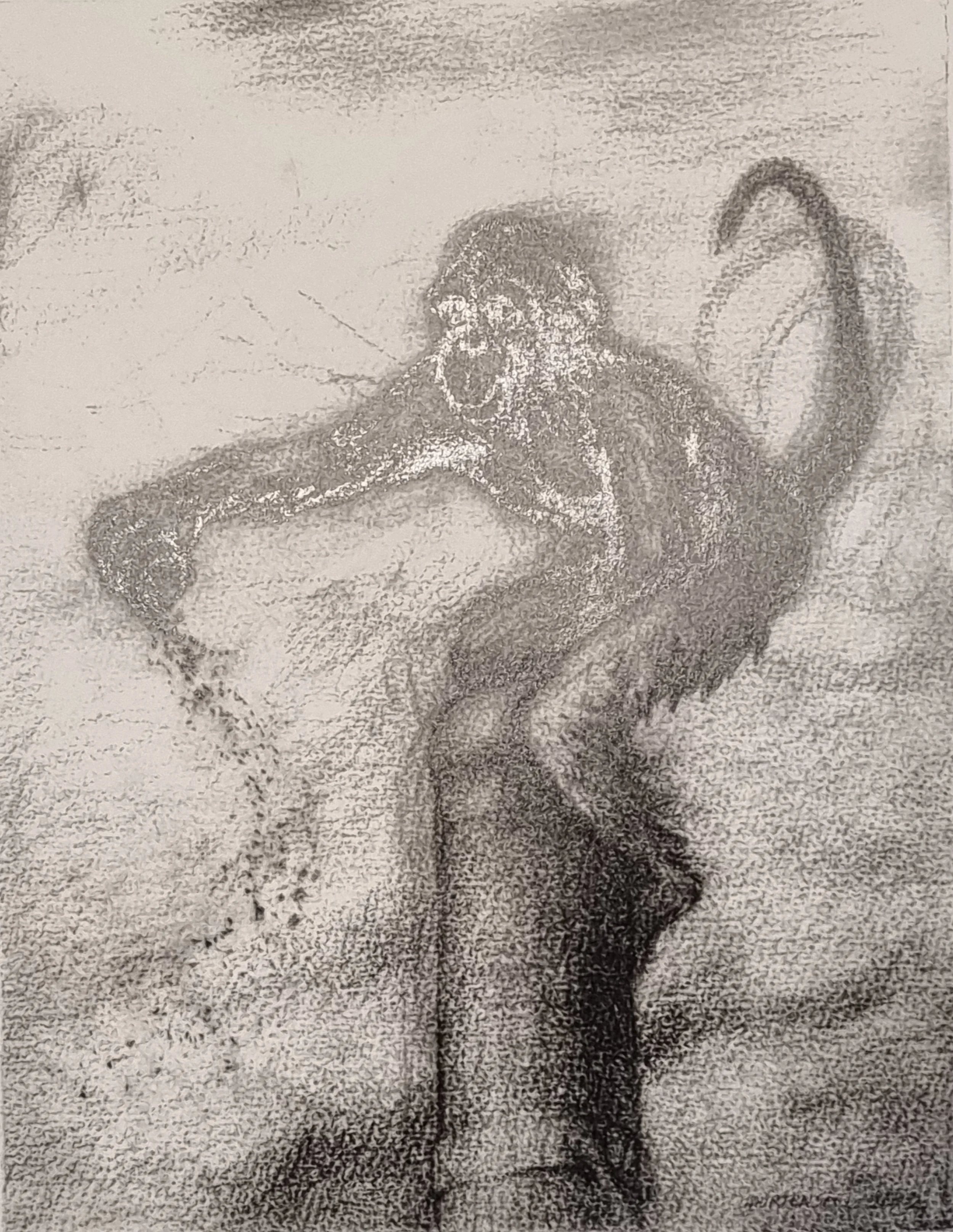 

‘Monkey’

Graphite

30 by 23cm, 2002
