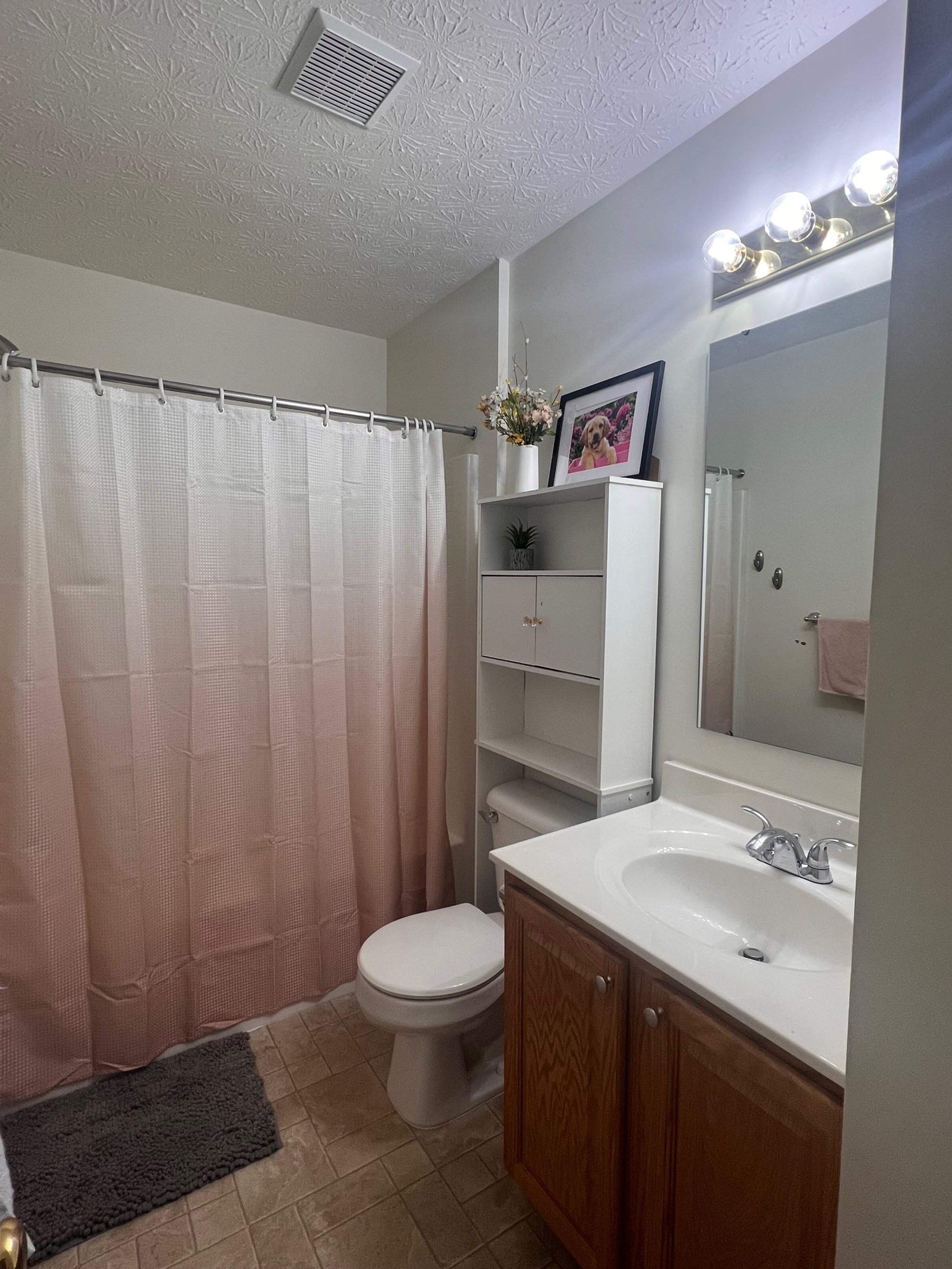 BEFORE GUEST BATHROOM
