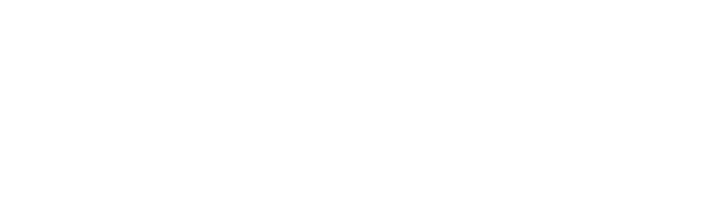 Full Score Data Solutions
