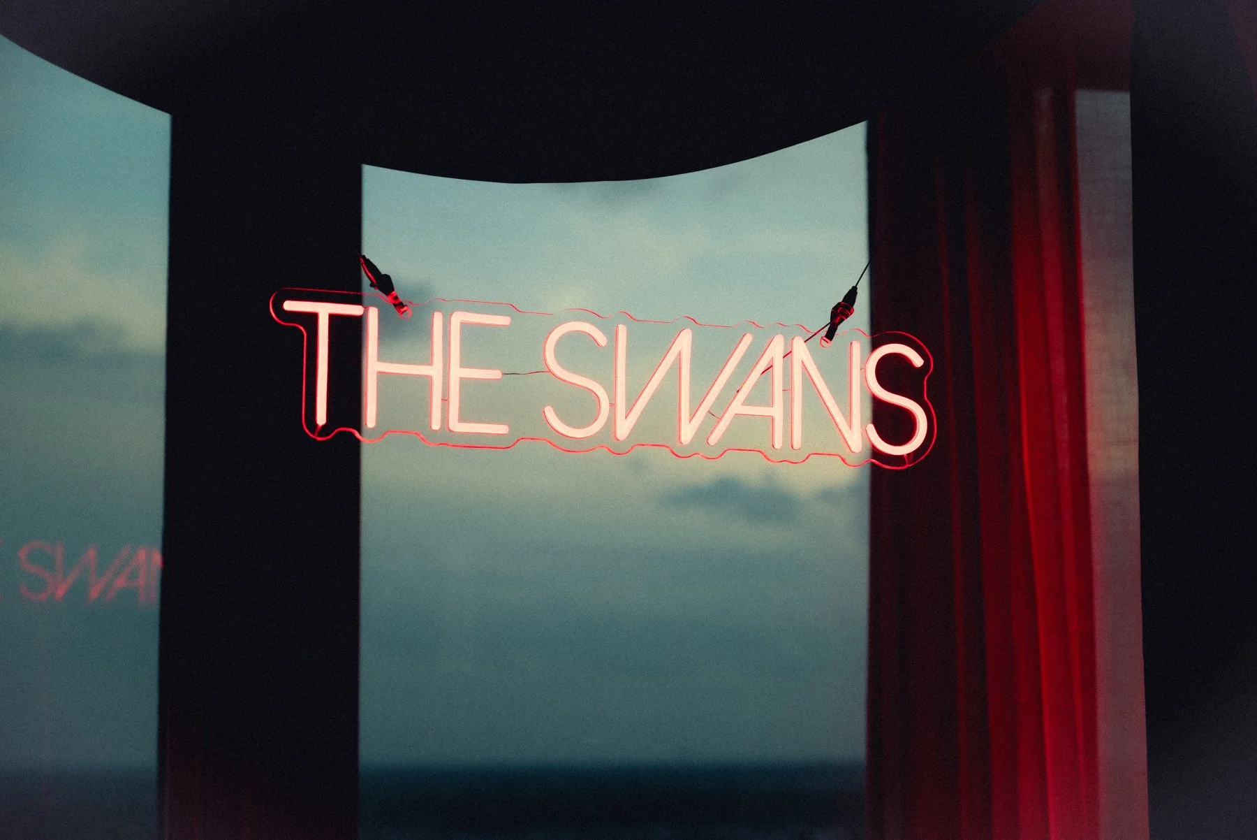 The SWANS-1.jpg