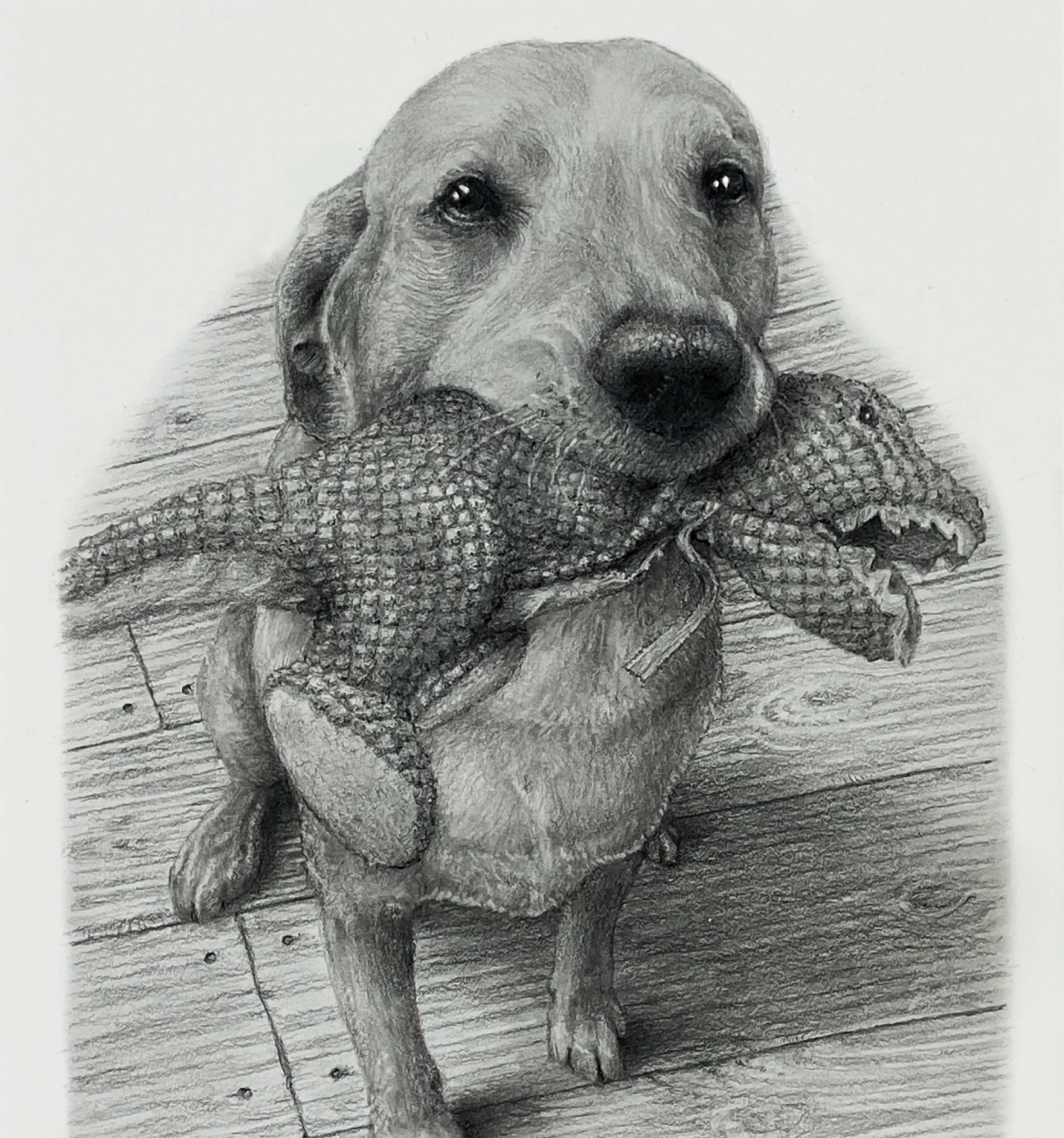 Daisy Square 001-01.jpg