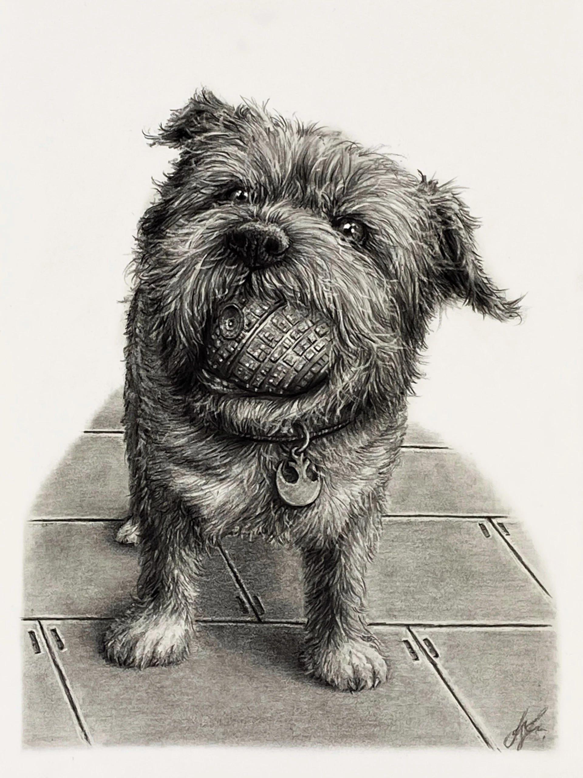 Scruffy 001.jpg