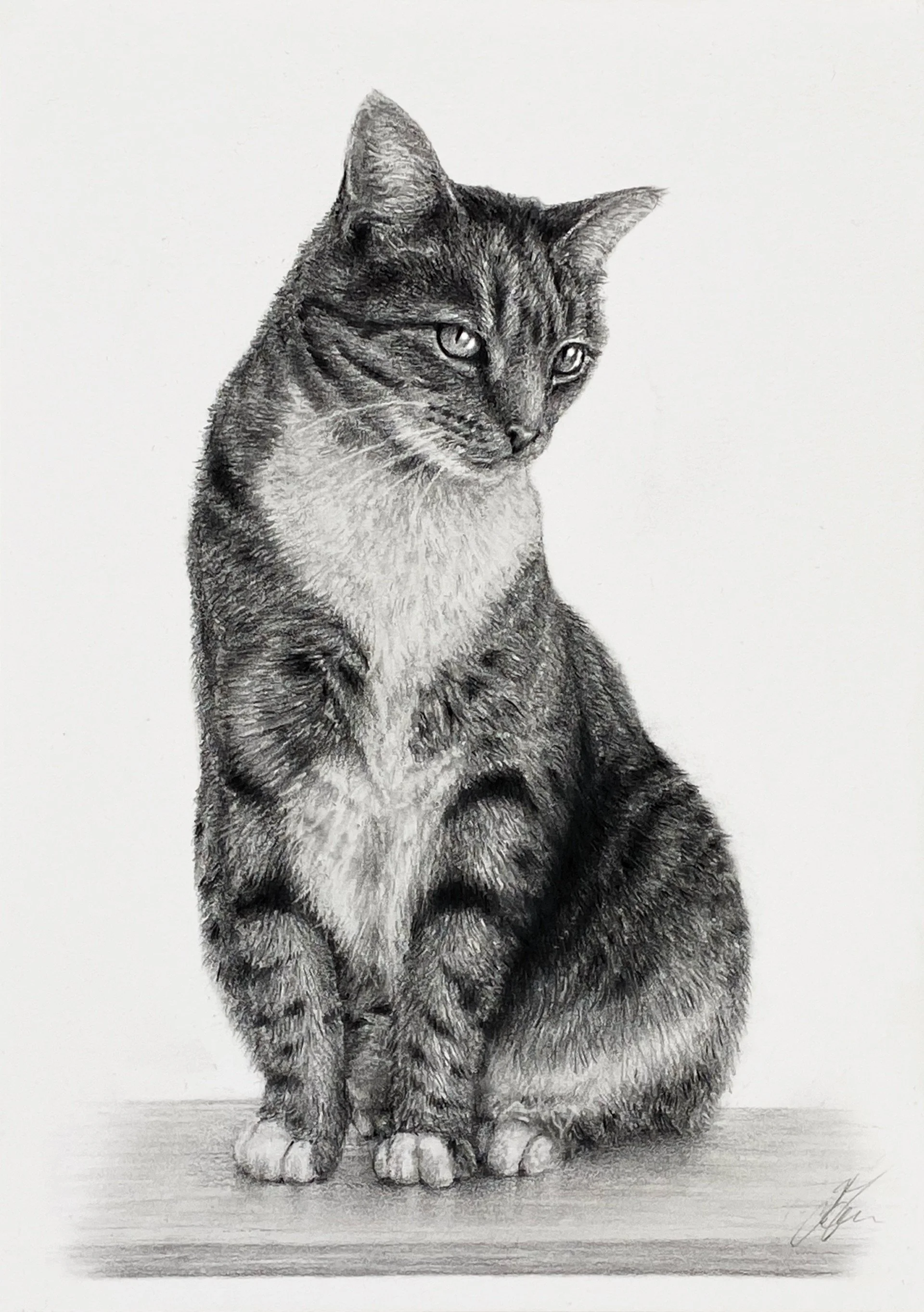 Meeka 001.jpg