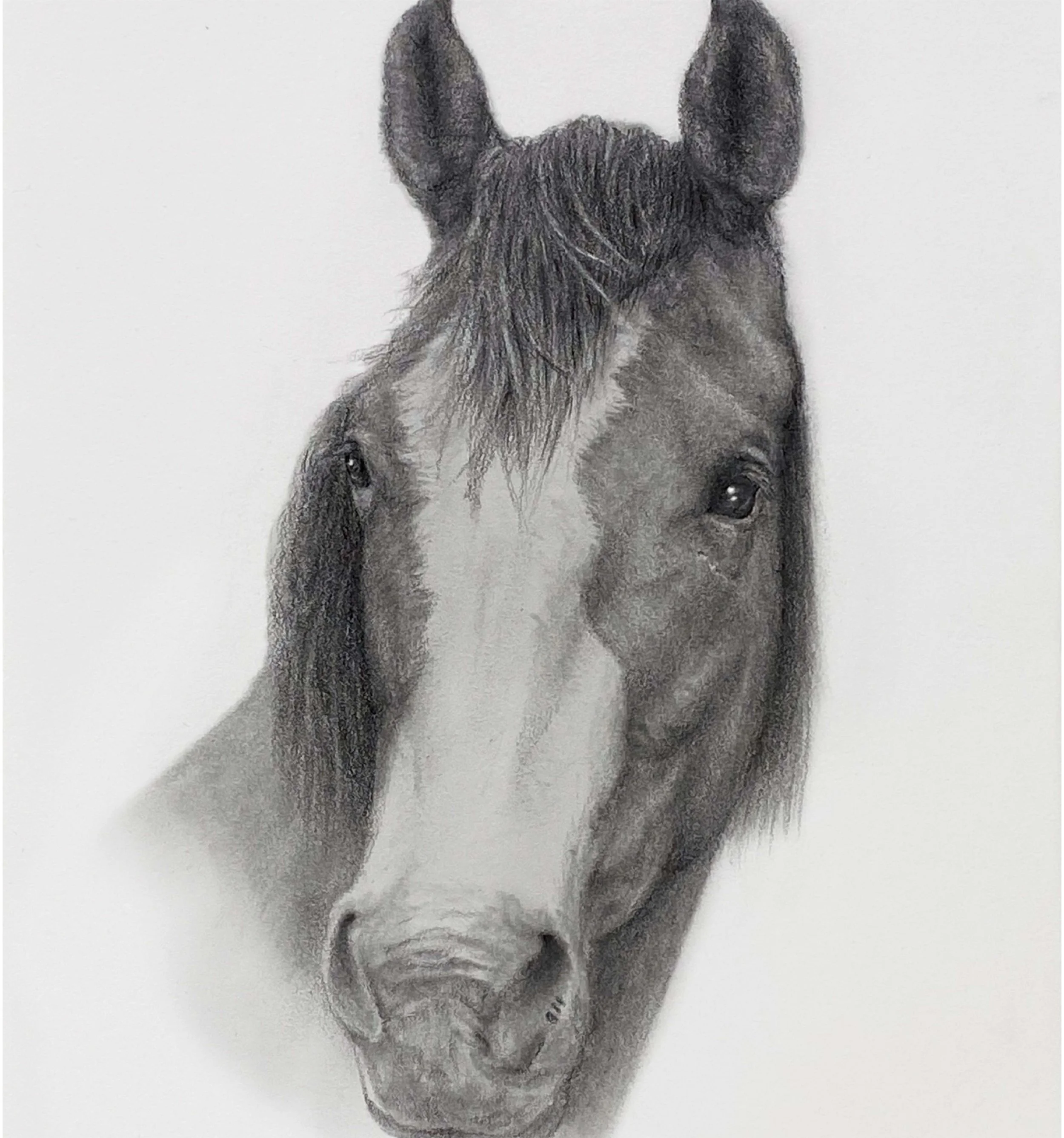 Flyboy Square 001-01.jpg