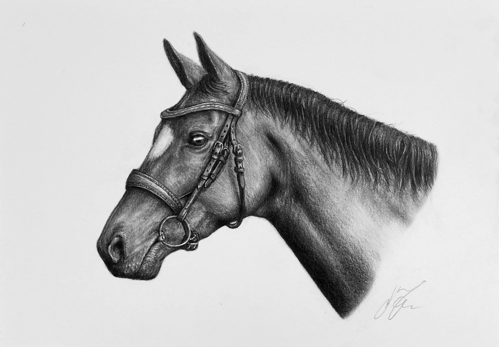 Henry Horse 001.jpg