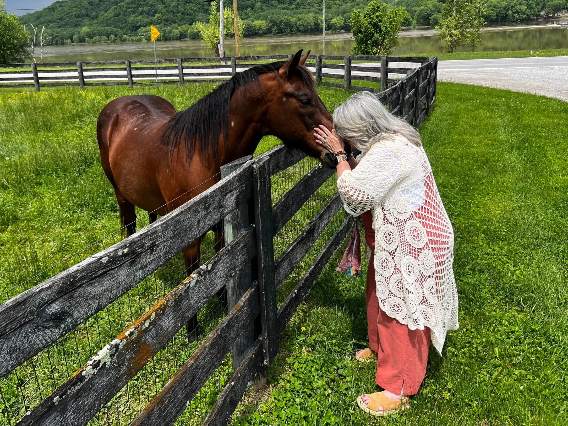 Rocking Toward Bliss