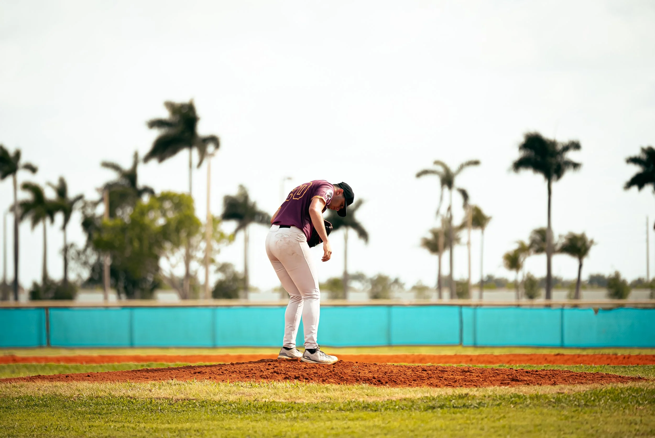 A baseball player on the pitcher's mound preparing to pitch, with palm trees in the background.