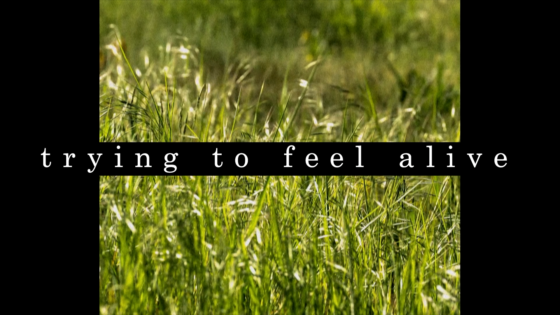 Music video for "Trying to Feel Alive", edited by Harold Tsui